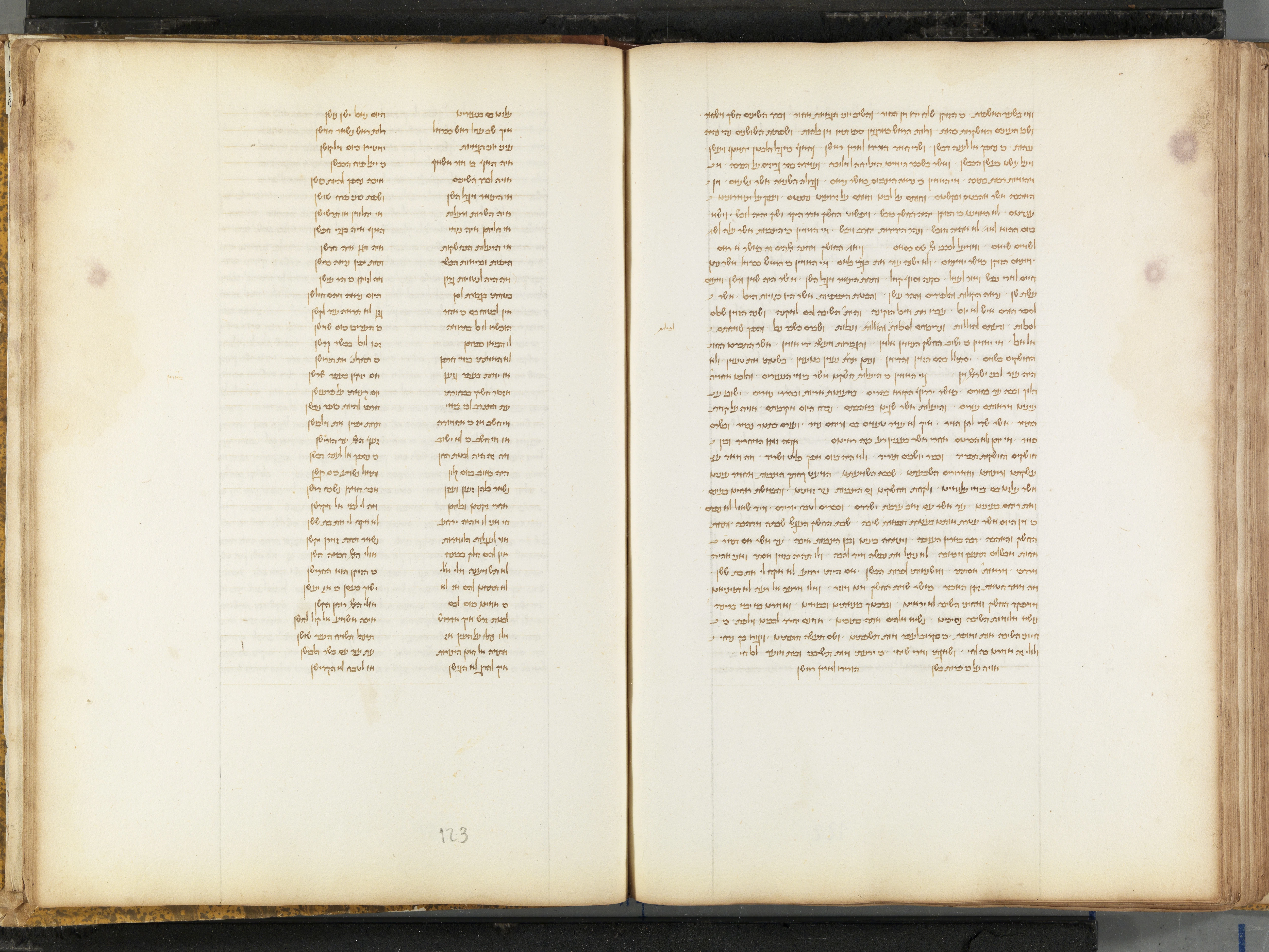 Image of item, e.g. a manuscript page