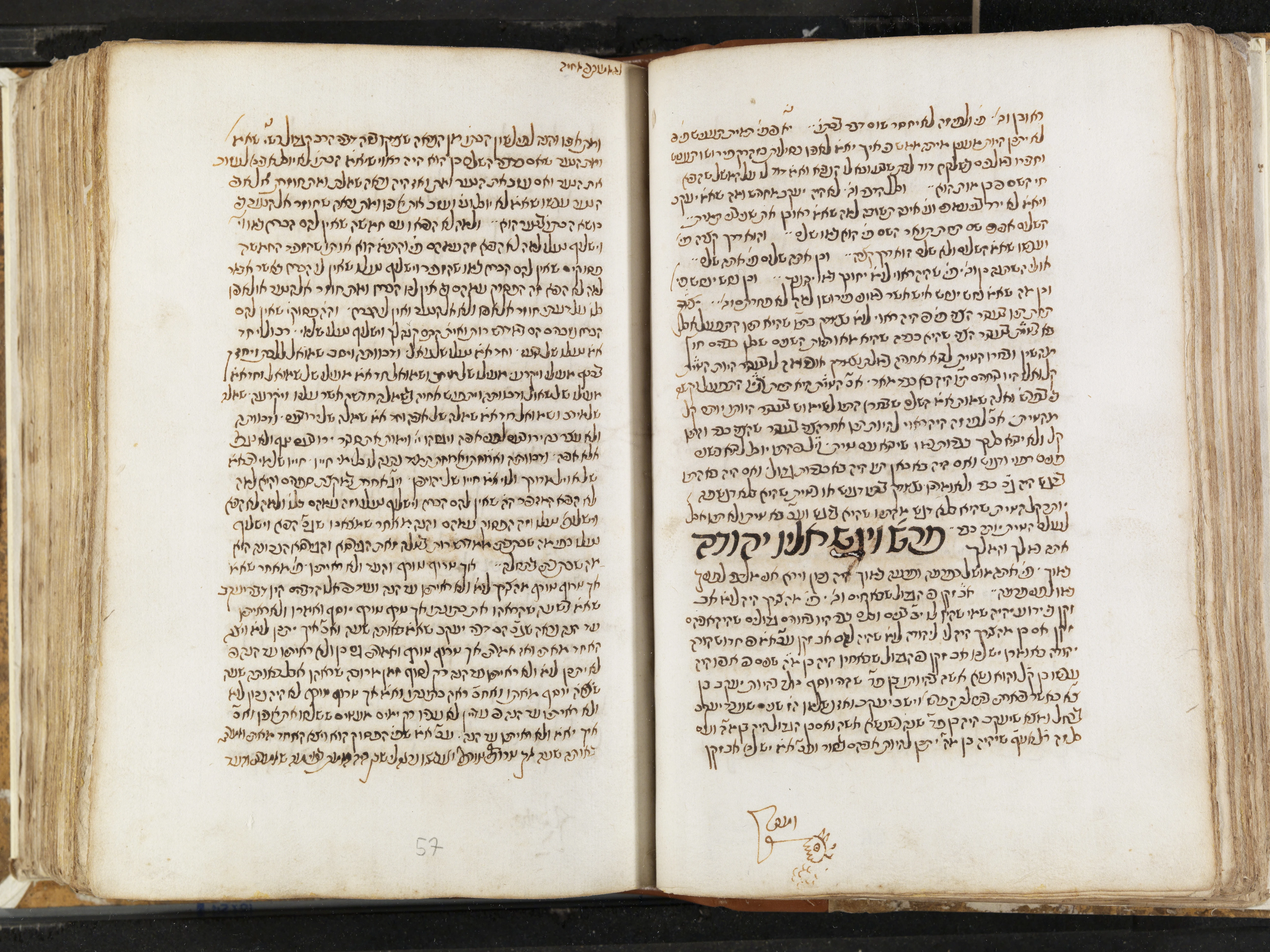 Image of item, e.g. a manuscript page