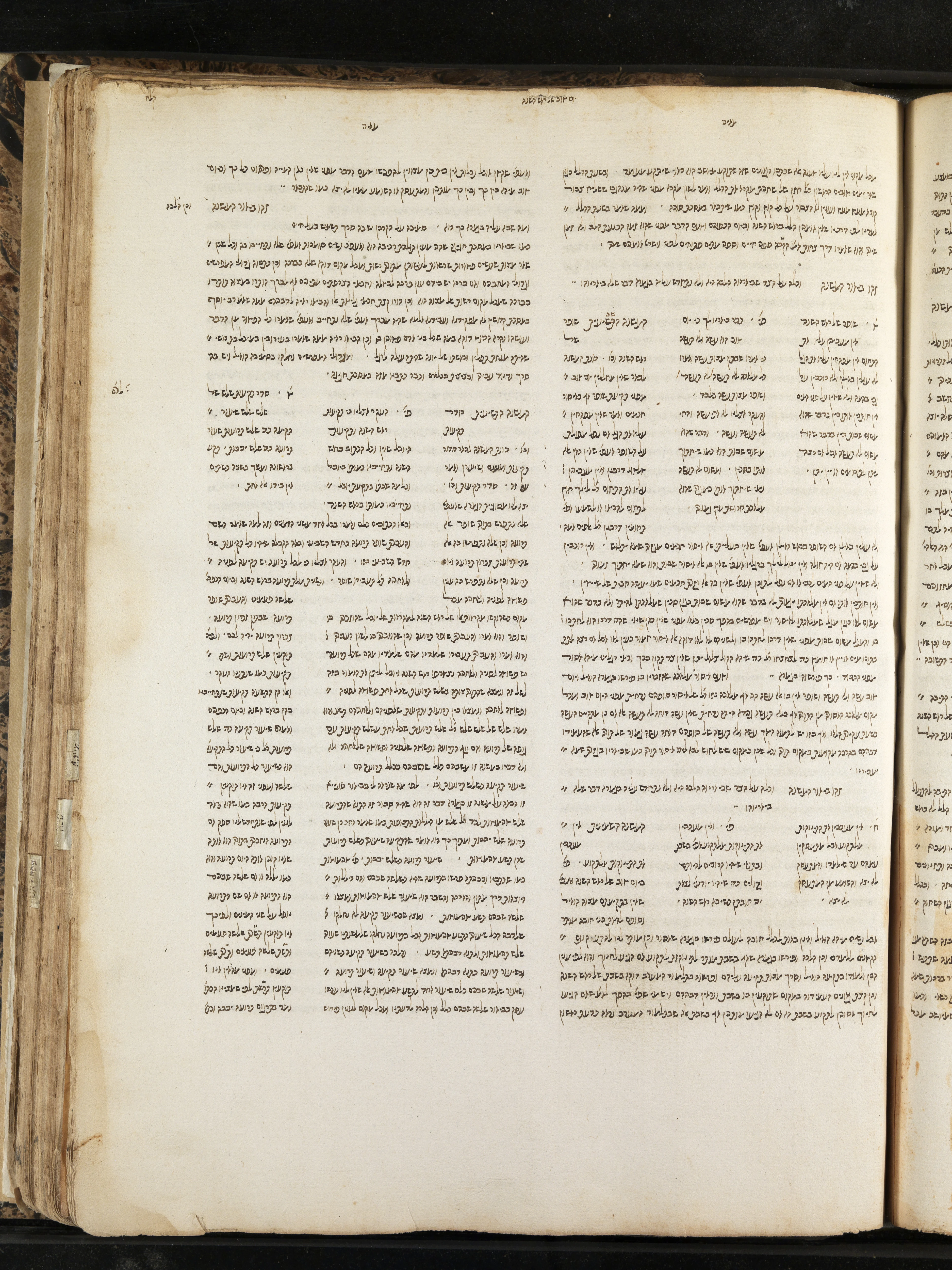 Image of item, e.g. a manuscript page