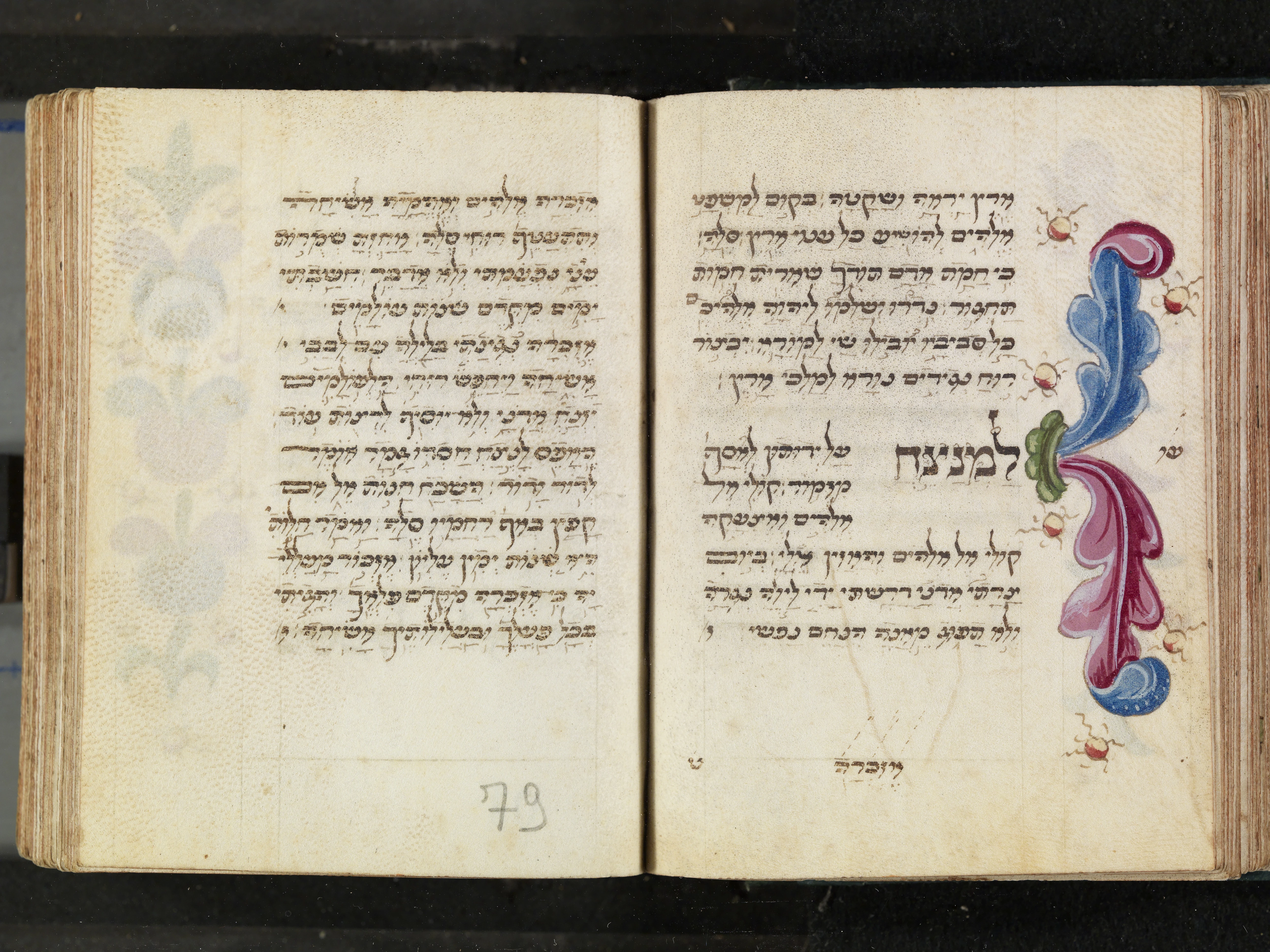 Image of item, e.g. a manuscript page