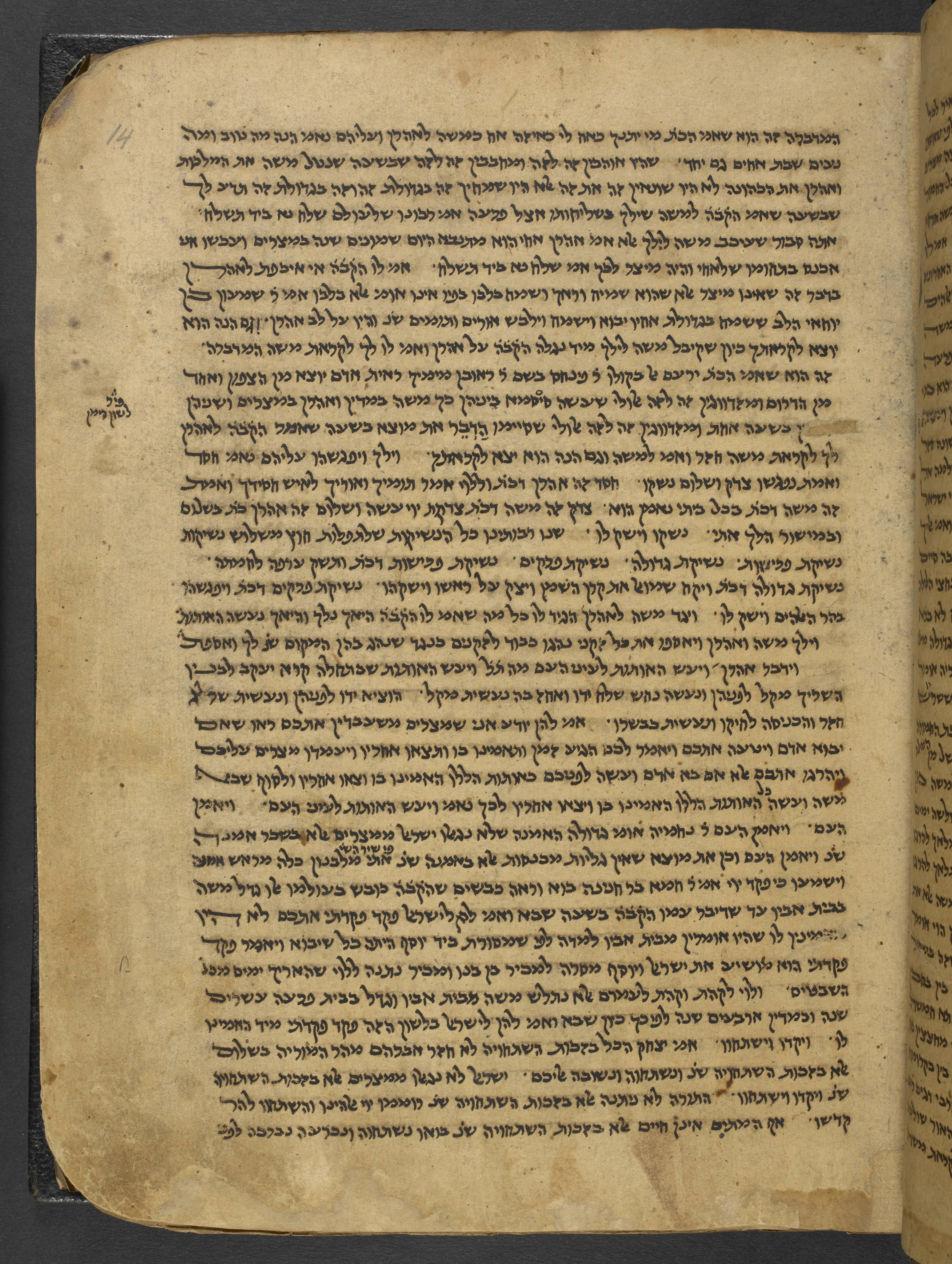 Image of item, e.g. a manuscript page