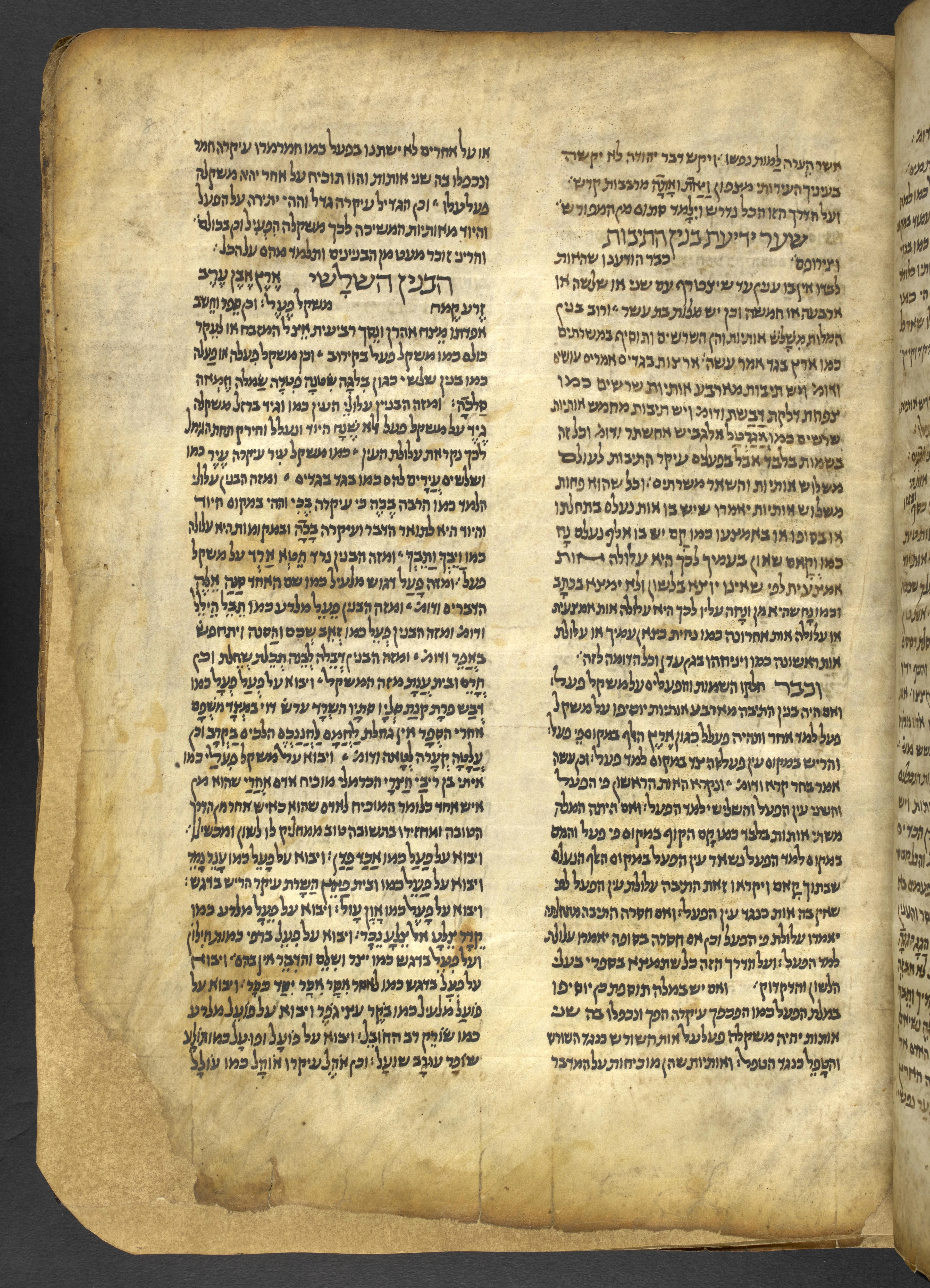 Image of item, e.g. a manuscript page