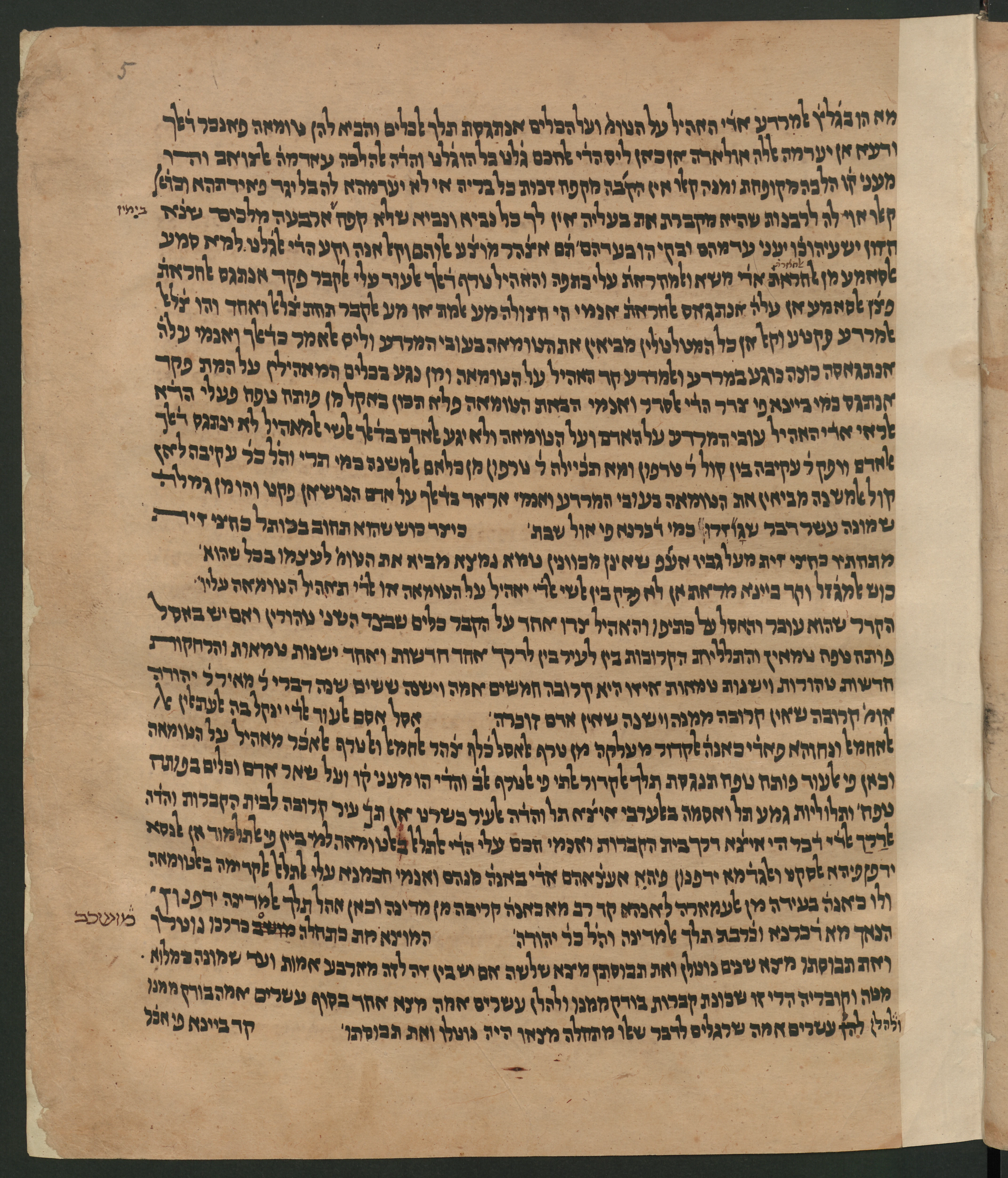 Image of item, e.g. a manuscript page