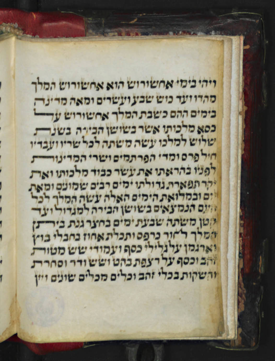 Image of item, e.g. a manuscript page