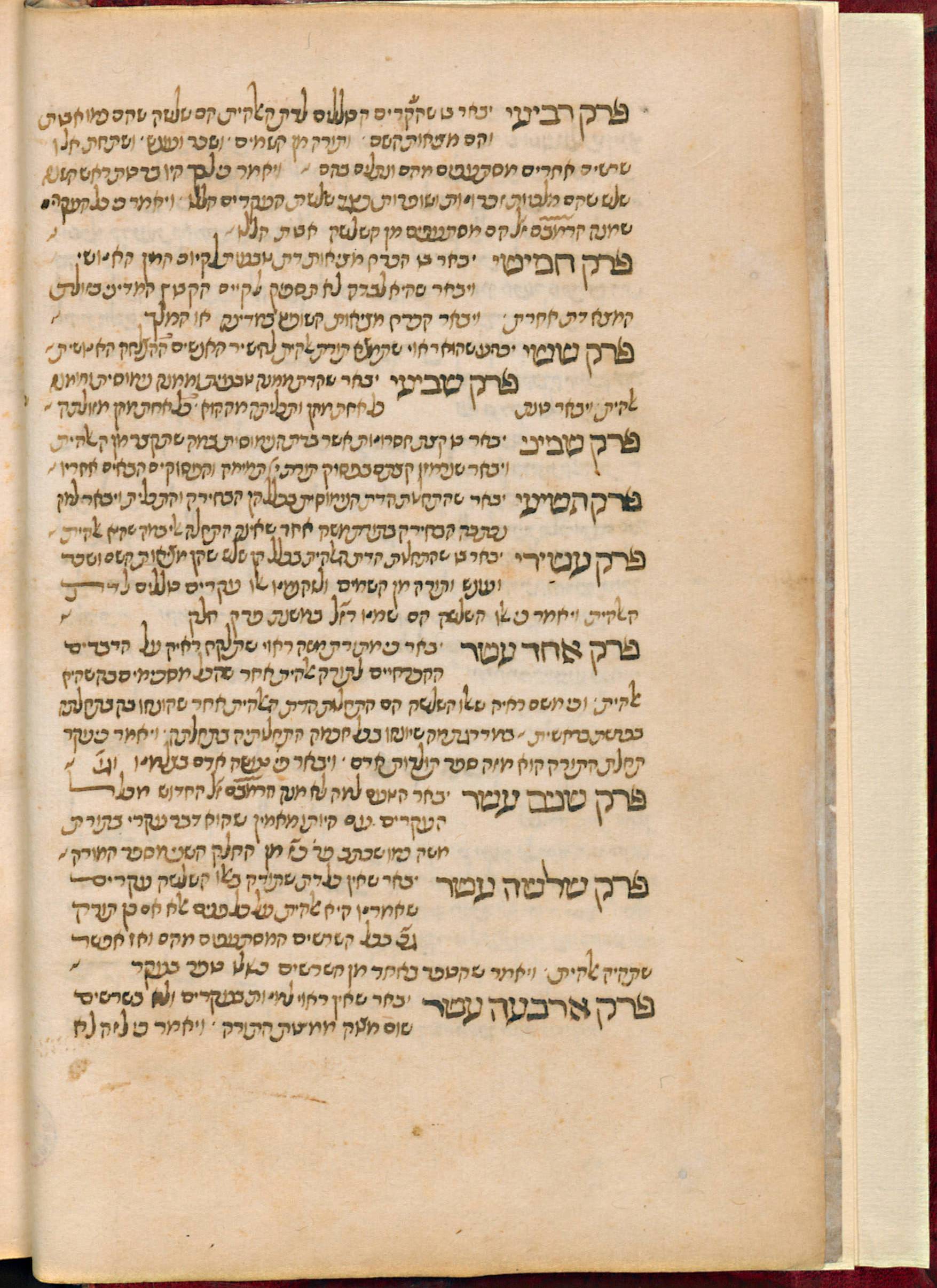 Image of item, e.g. a manuscript page