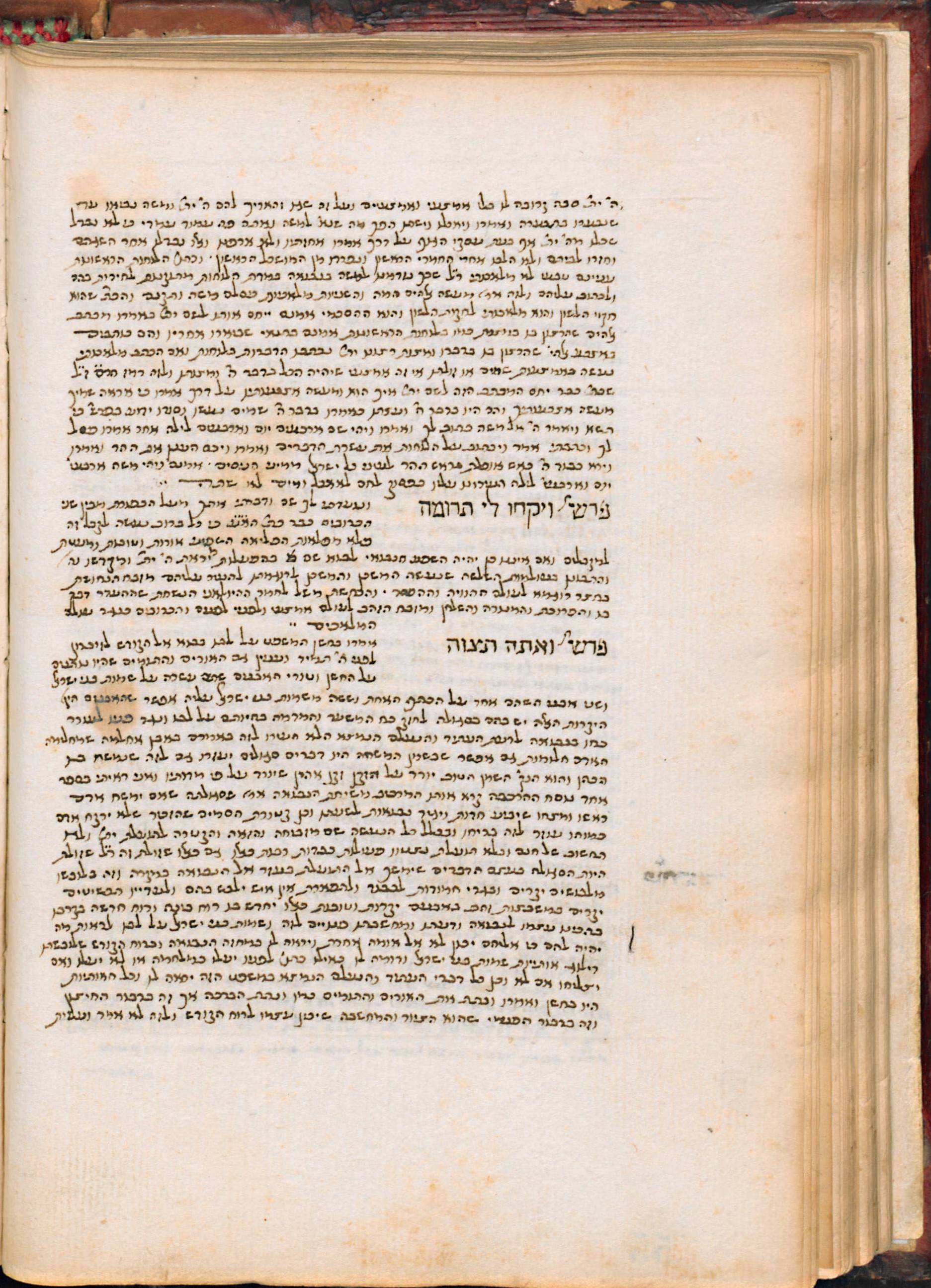 Image of item, e.g. a manuscript page
