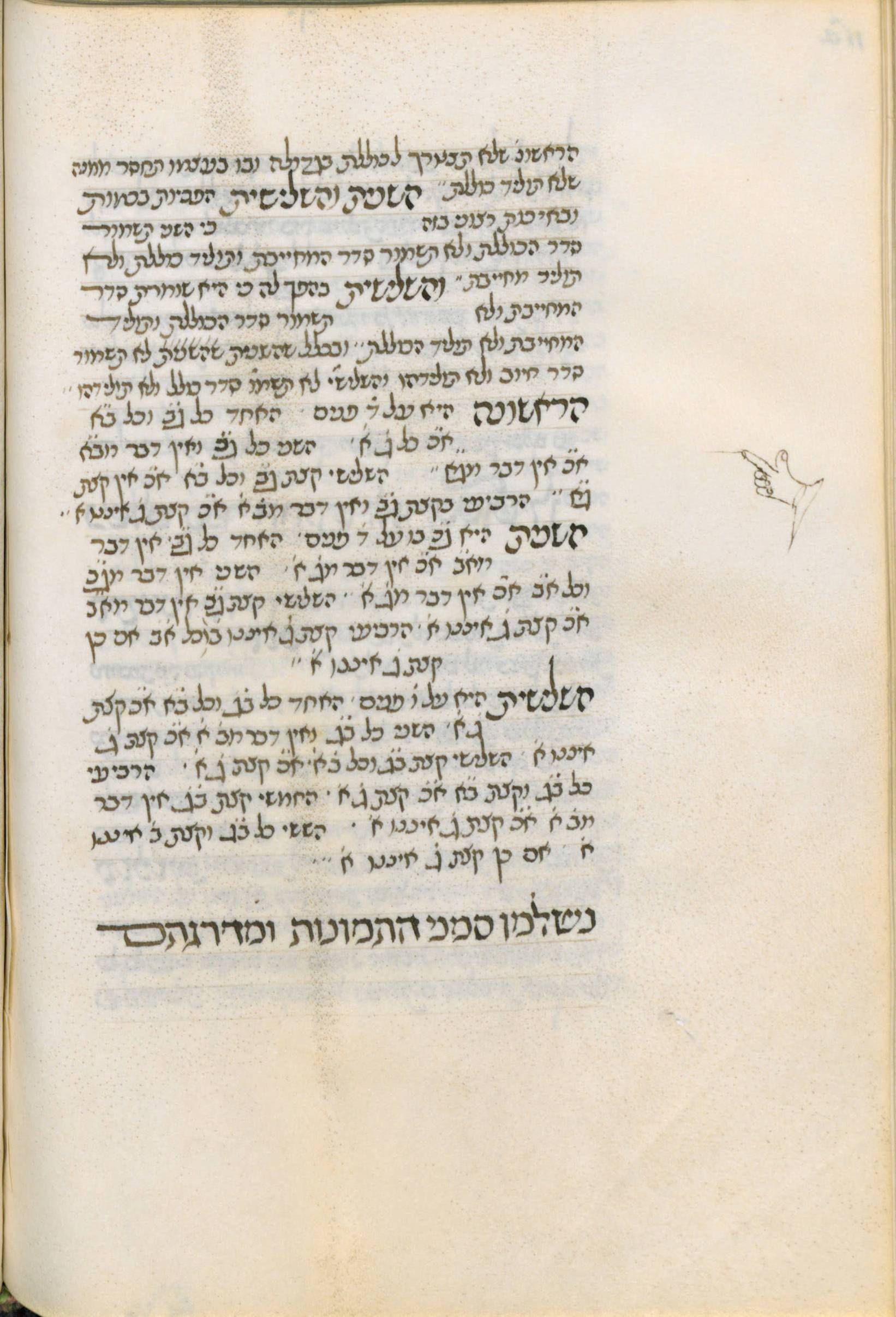Image of item, e.g. a manuscript page