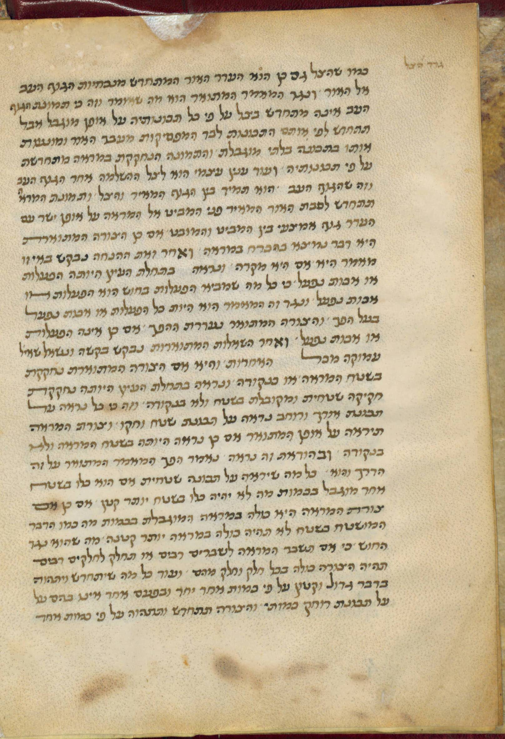 Image of item, e.g. a manuscript page