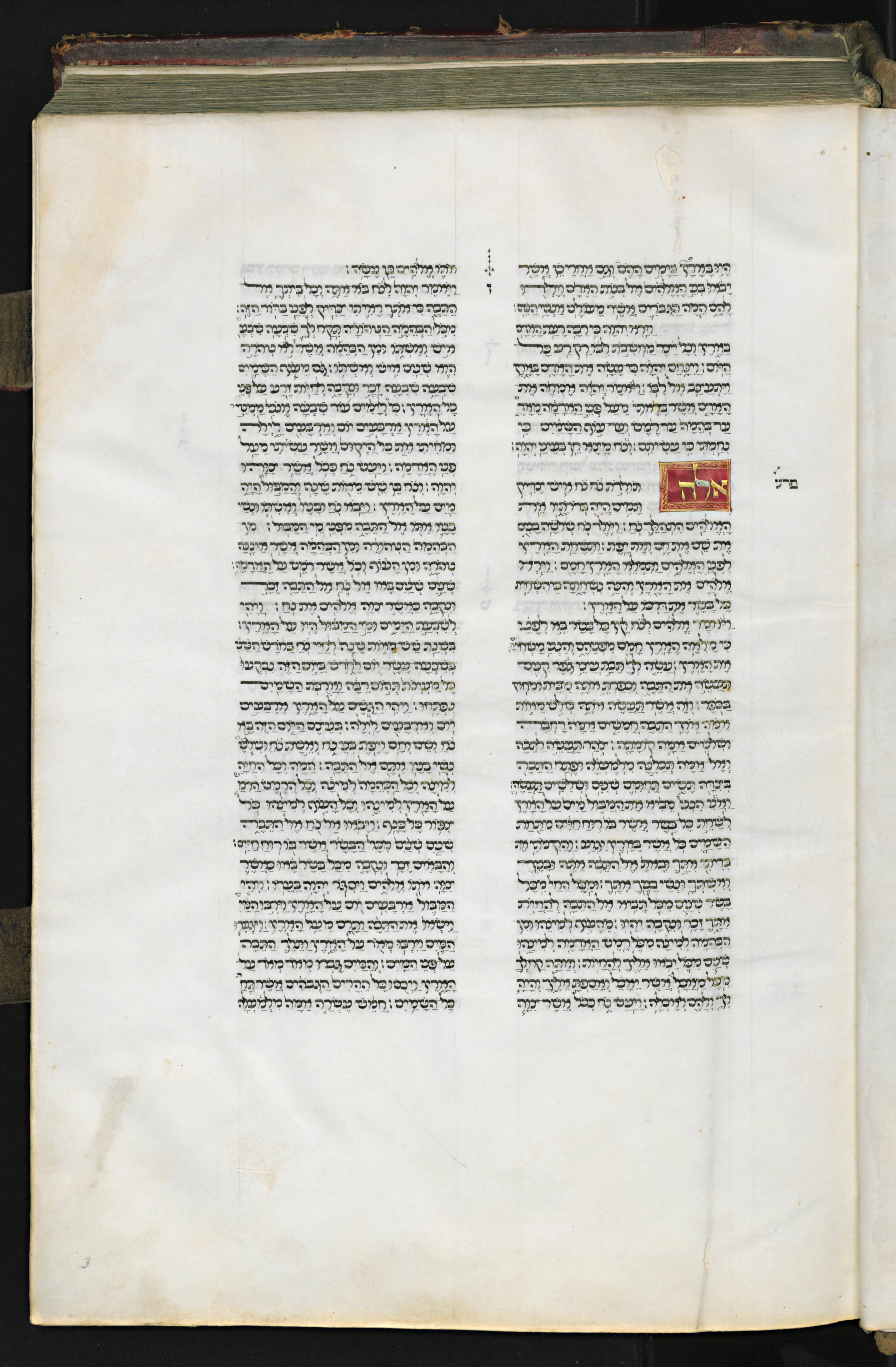 Image of item, e.g. a manuscript page