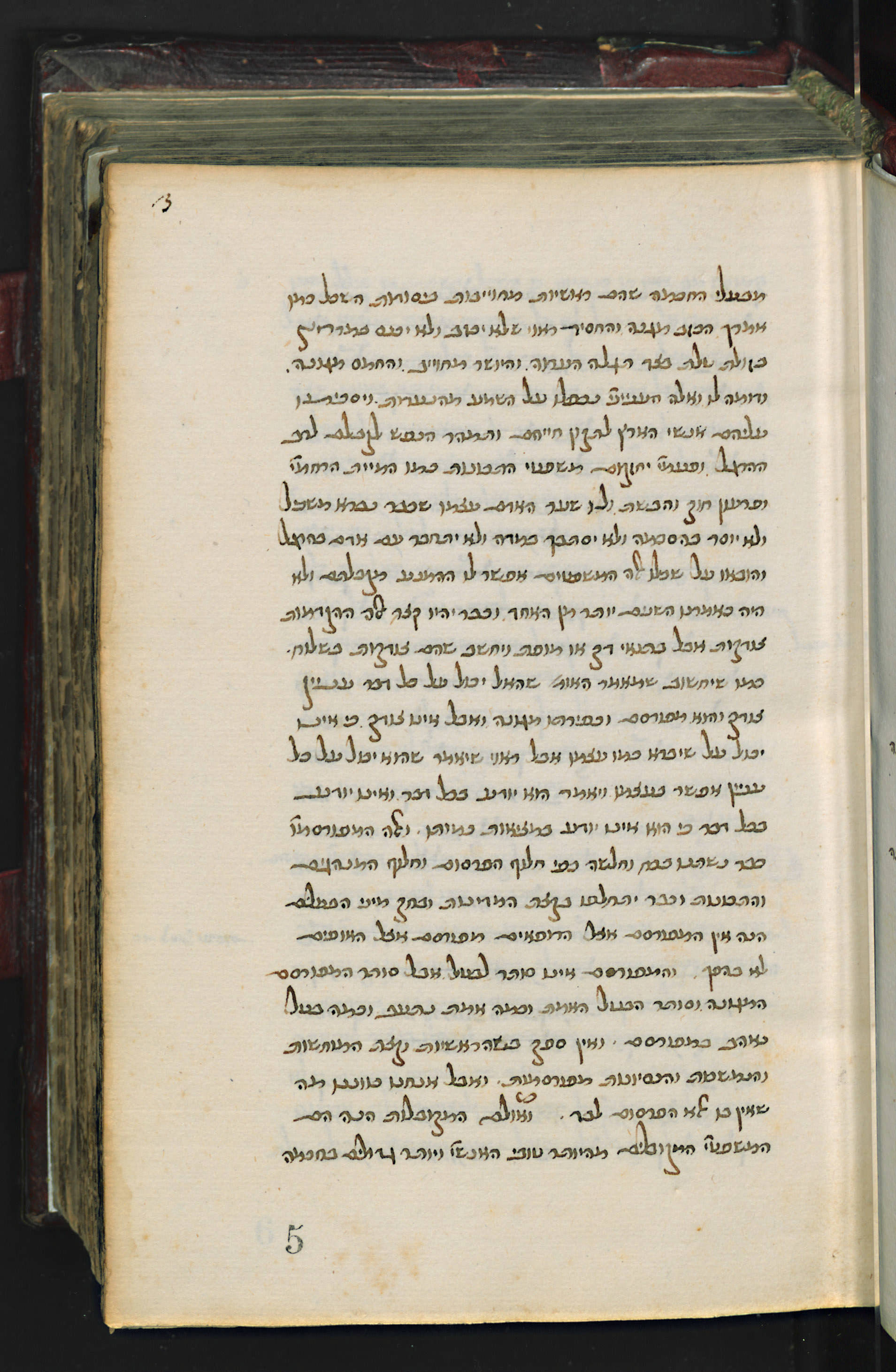 Image of item, e.g. a manuscript page