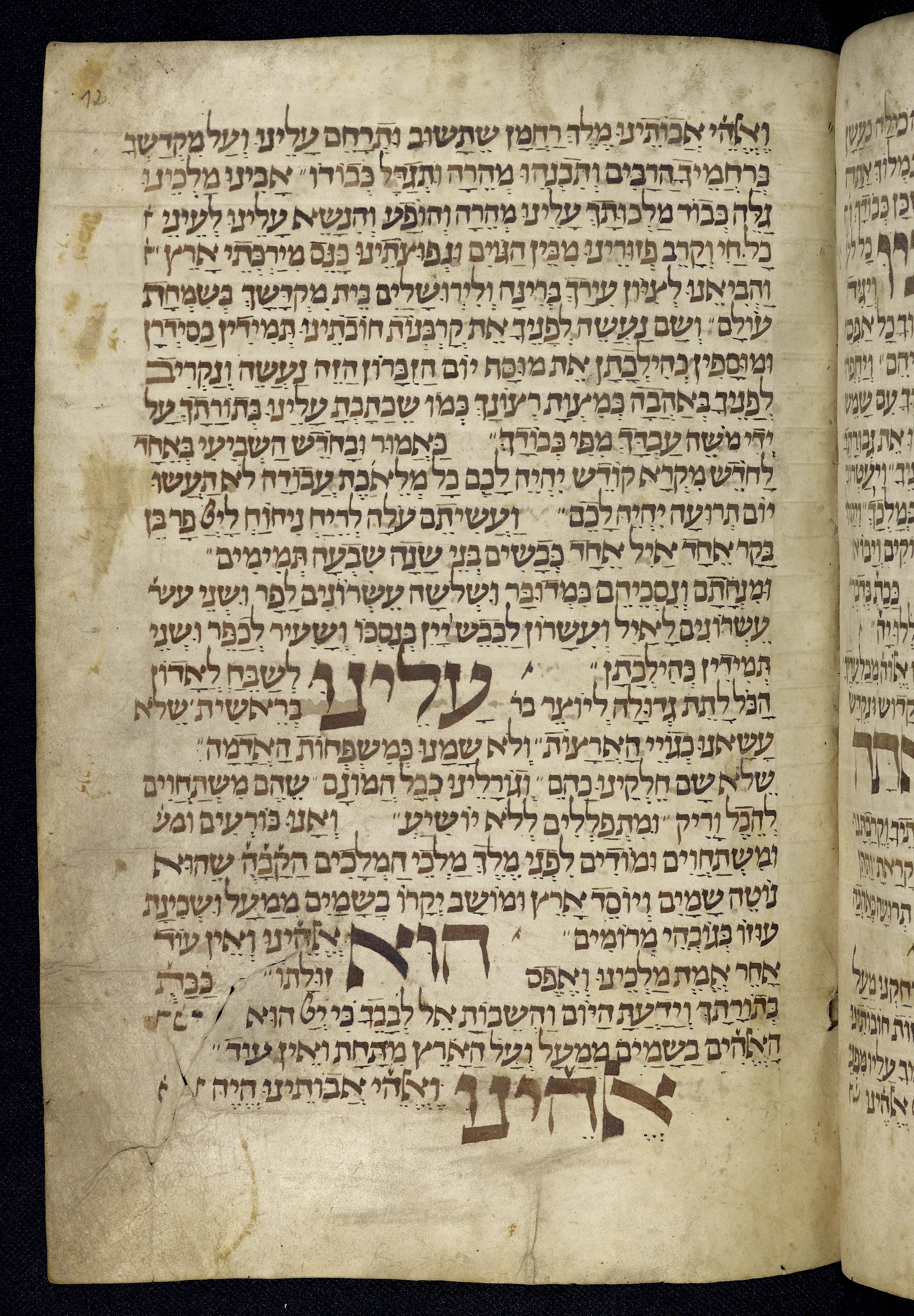 Image of item, e.g. a manuscript page