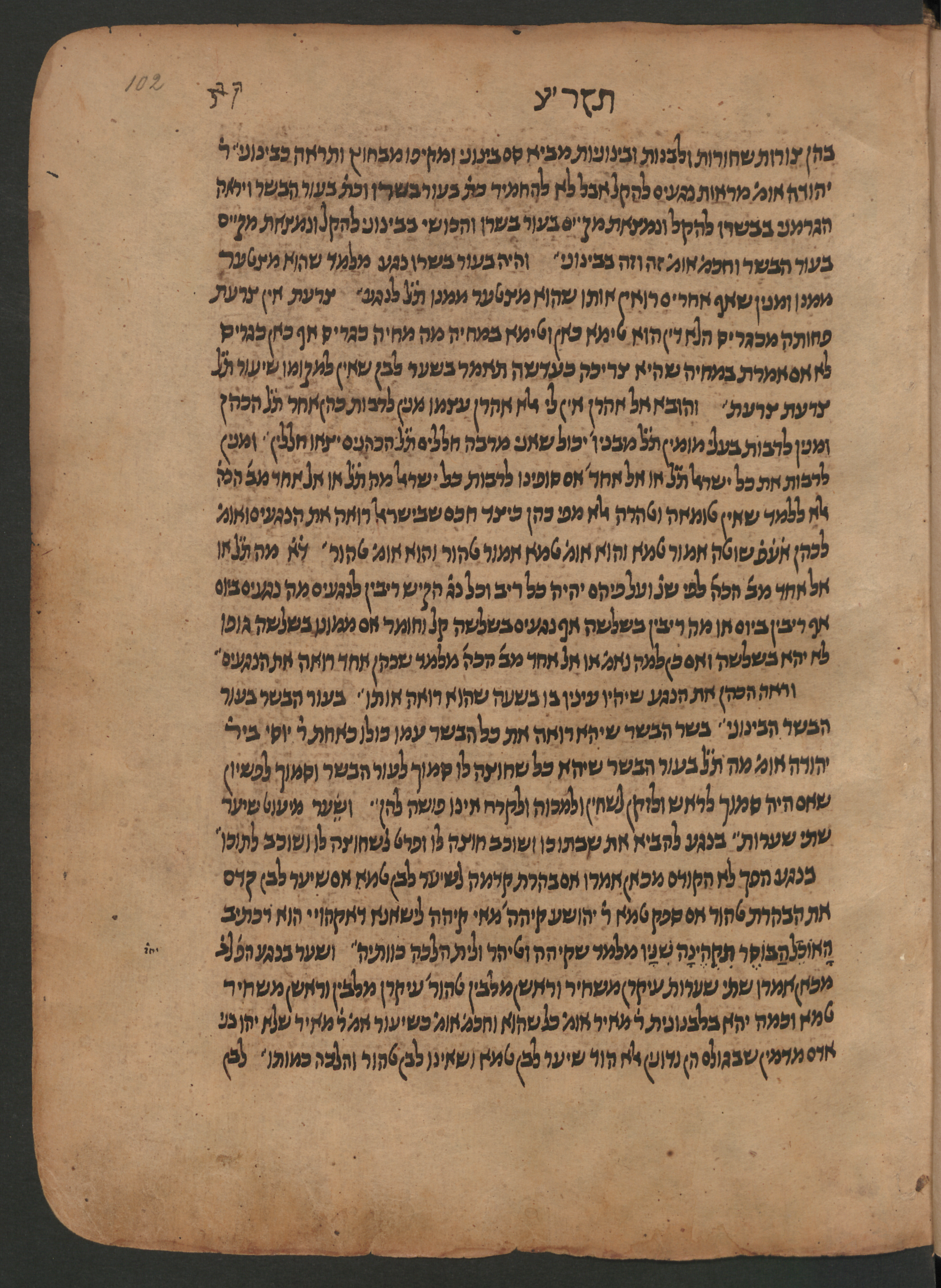 Image of item, e.g. a manuscript page