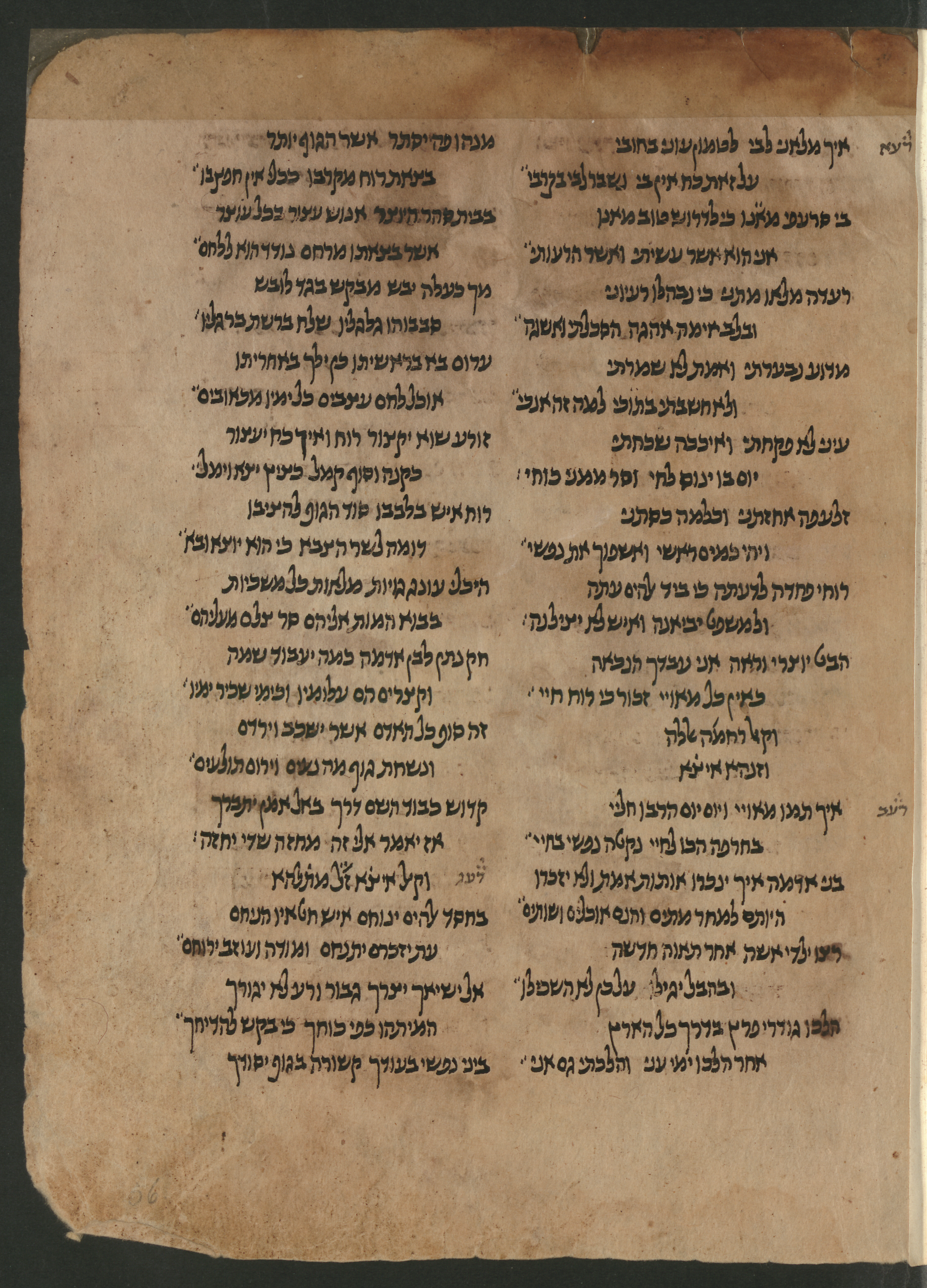 Image of item, e.g. a manuscript page