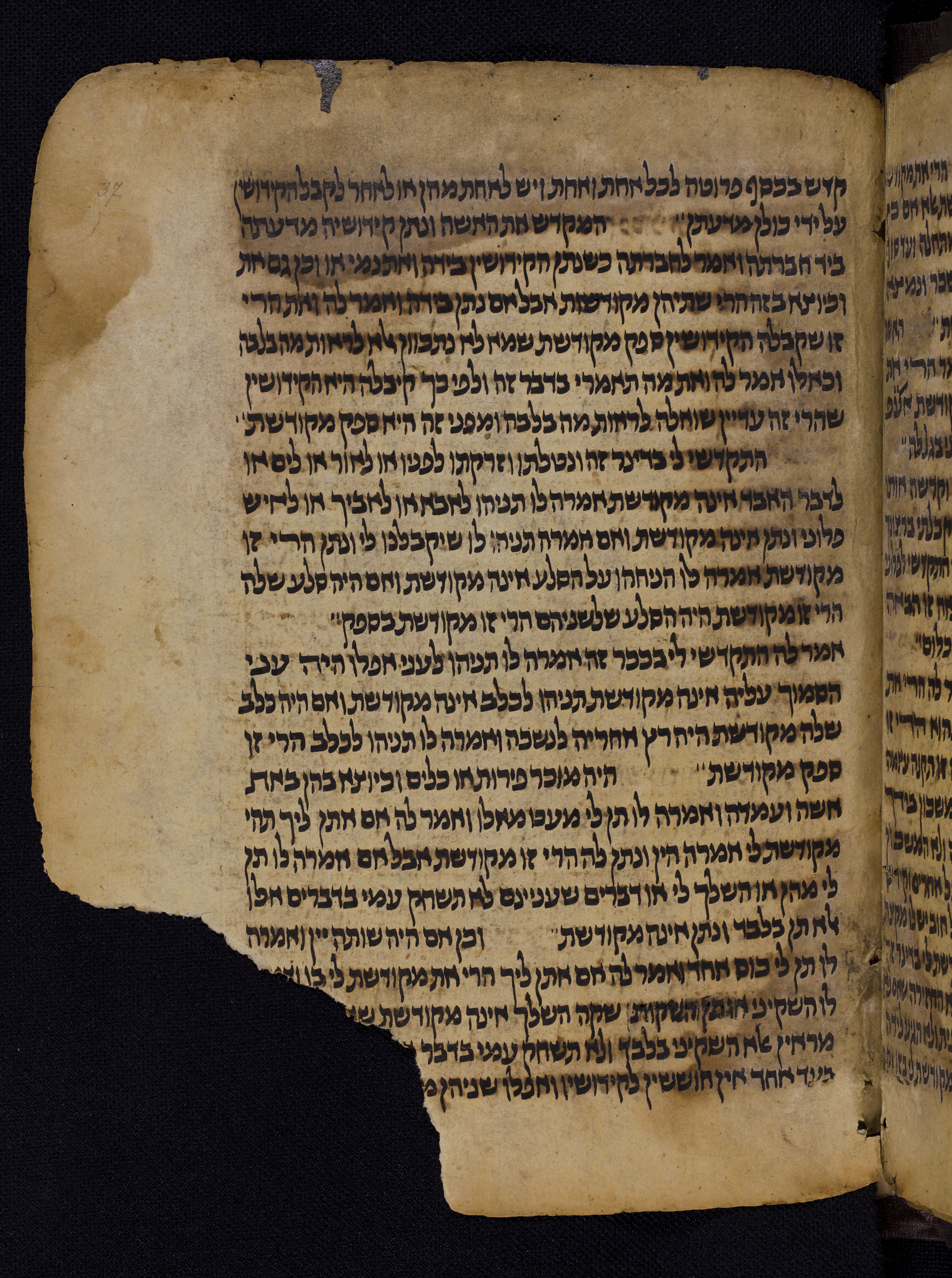 Image of item, e.g. a manuscript page