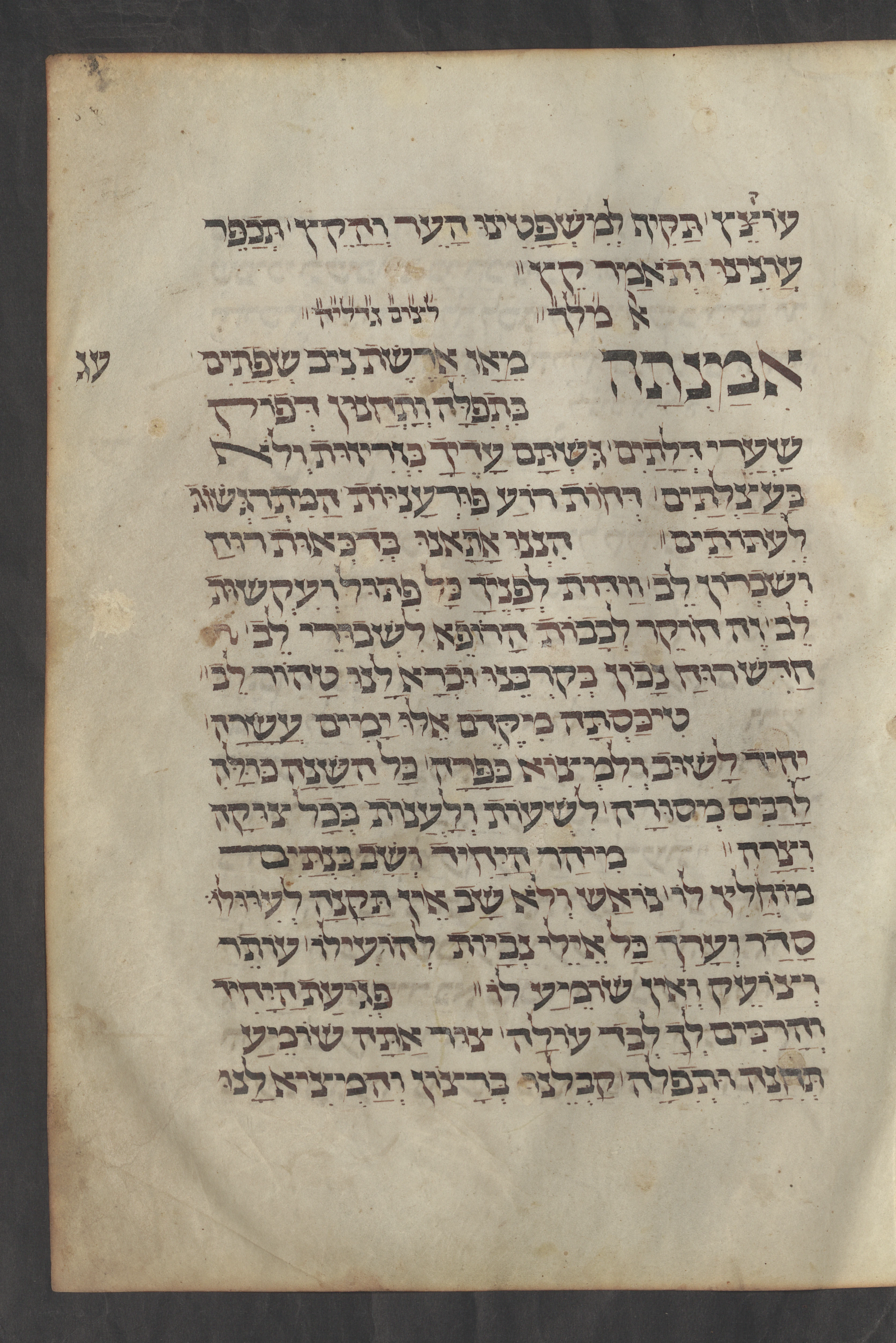 Image of item, e.g. a manuscript page