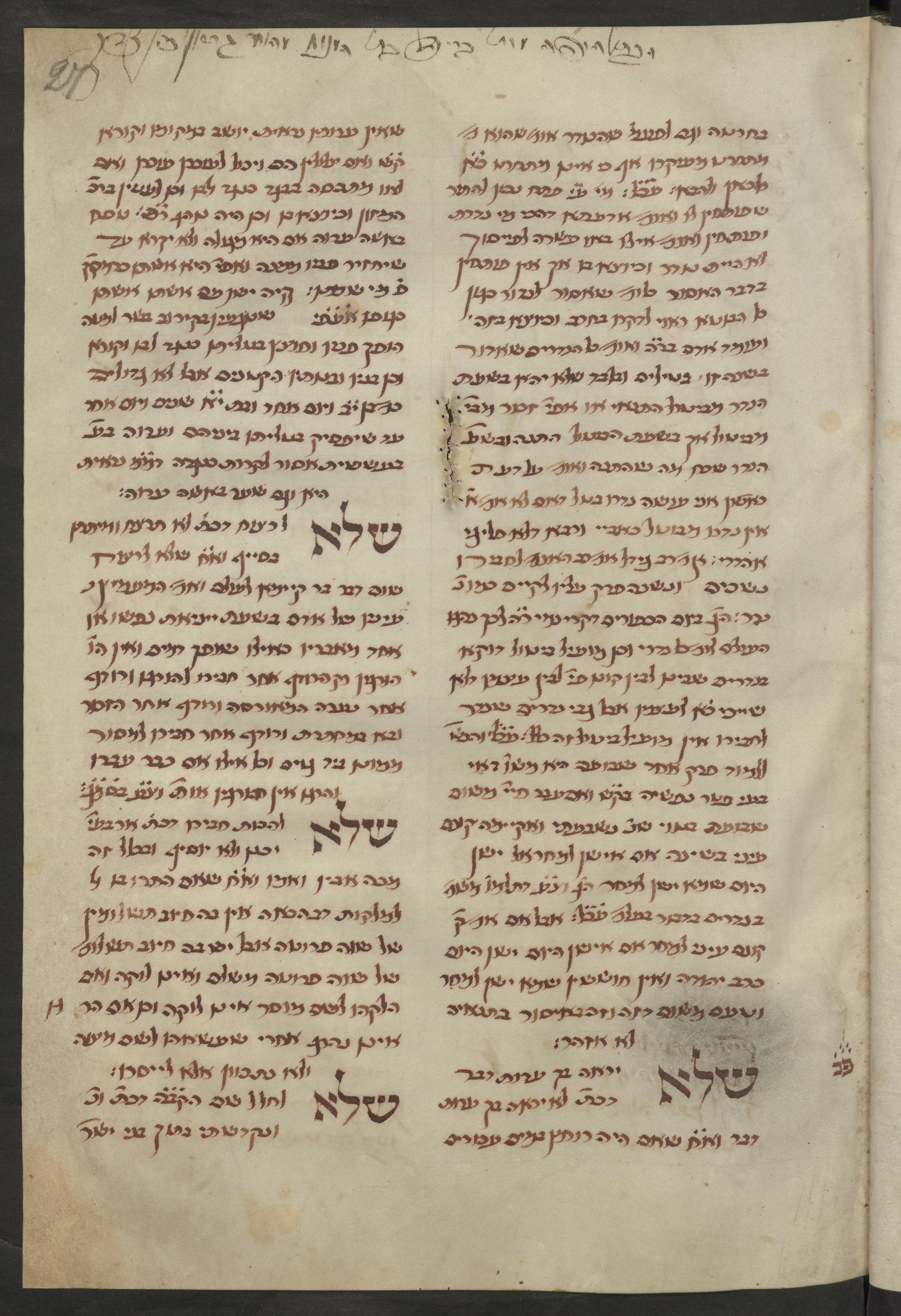 Image of item, e.g. a manuscript page