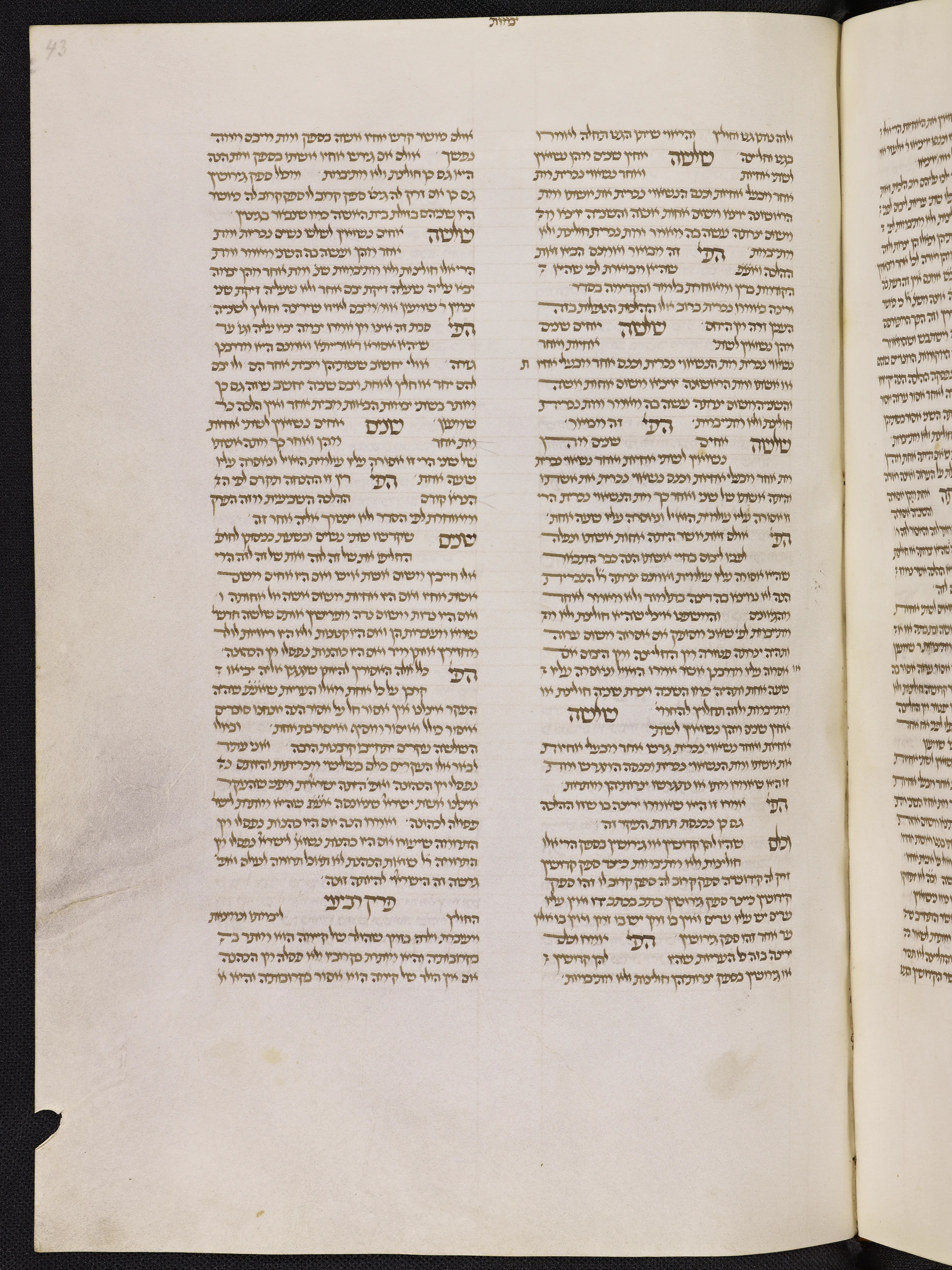 Image of item, e.g. a manuscript page