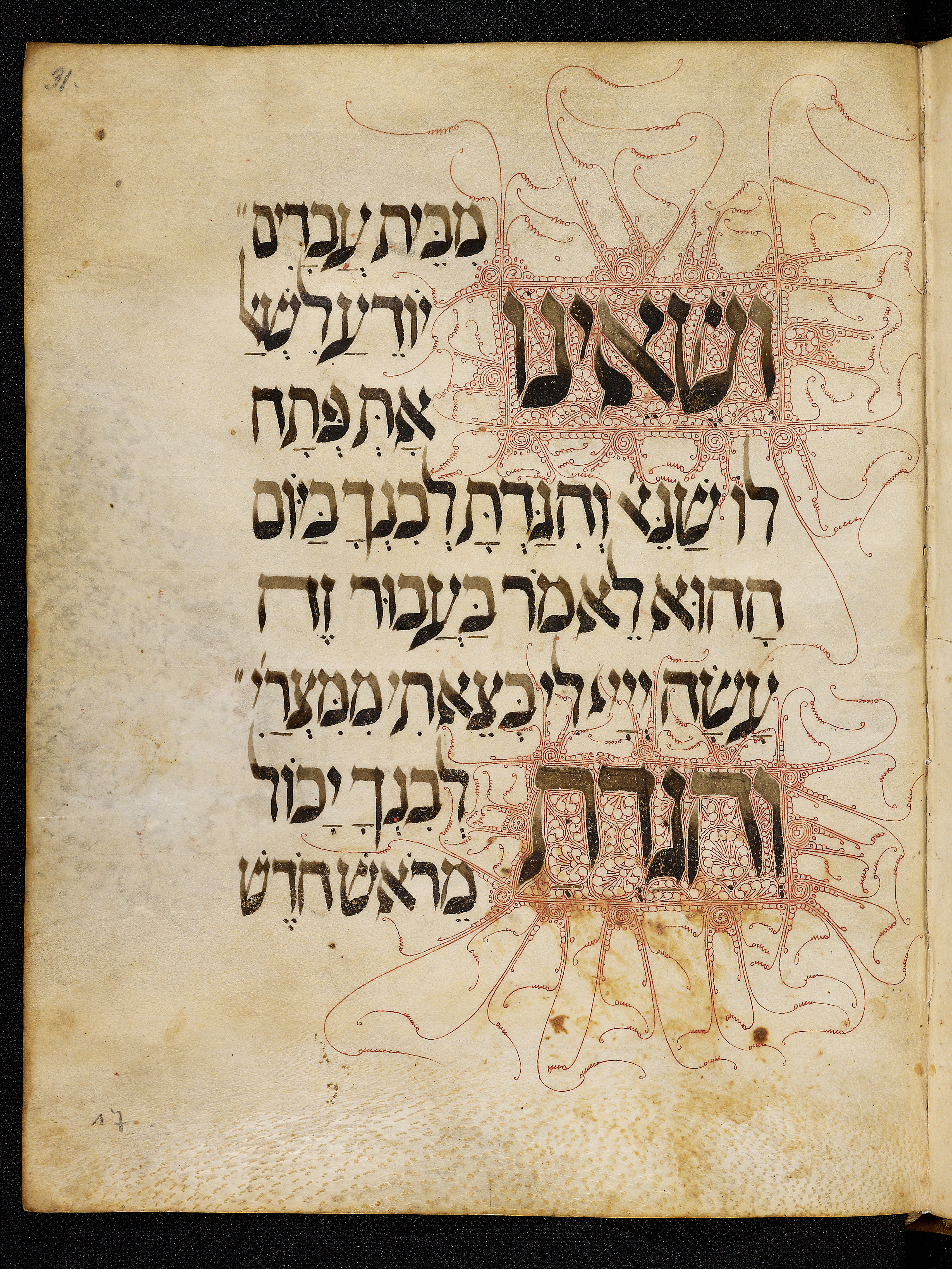 Image of item, e.g. a manuscript page