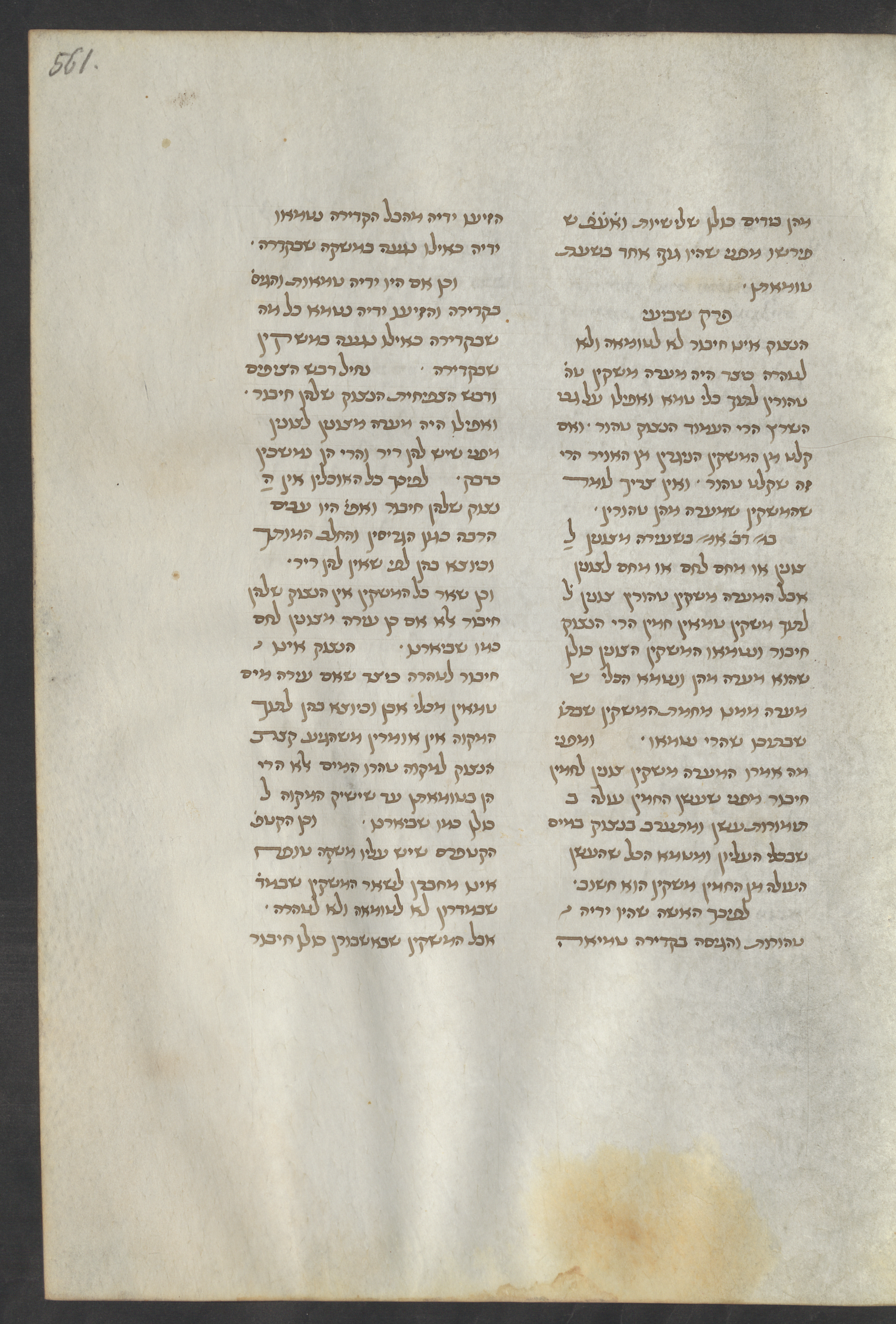 Image of item, e.g. a manuscript page
