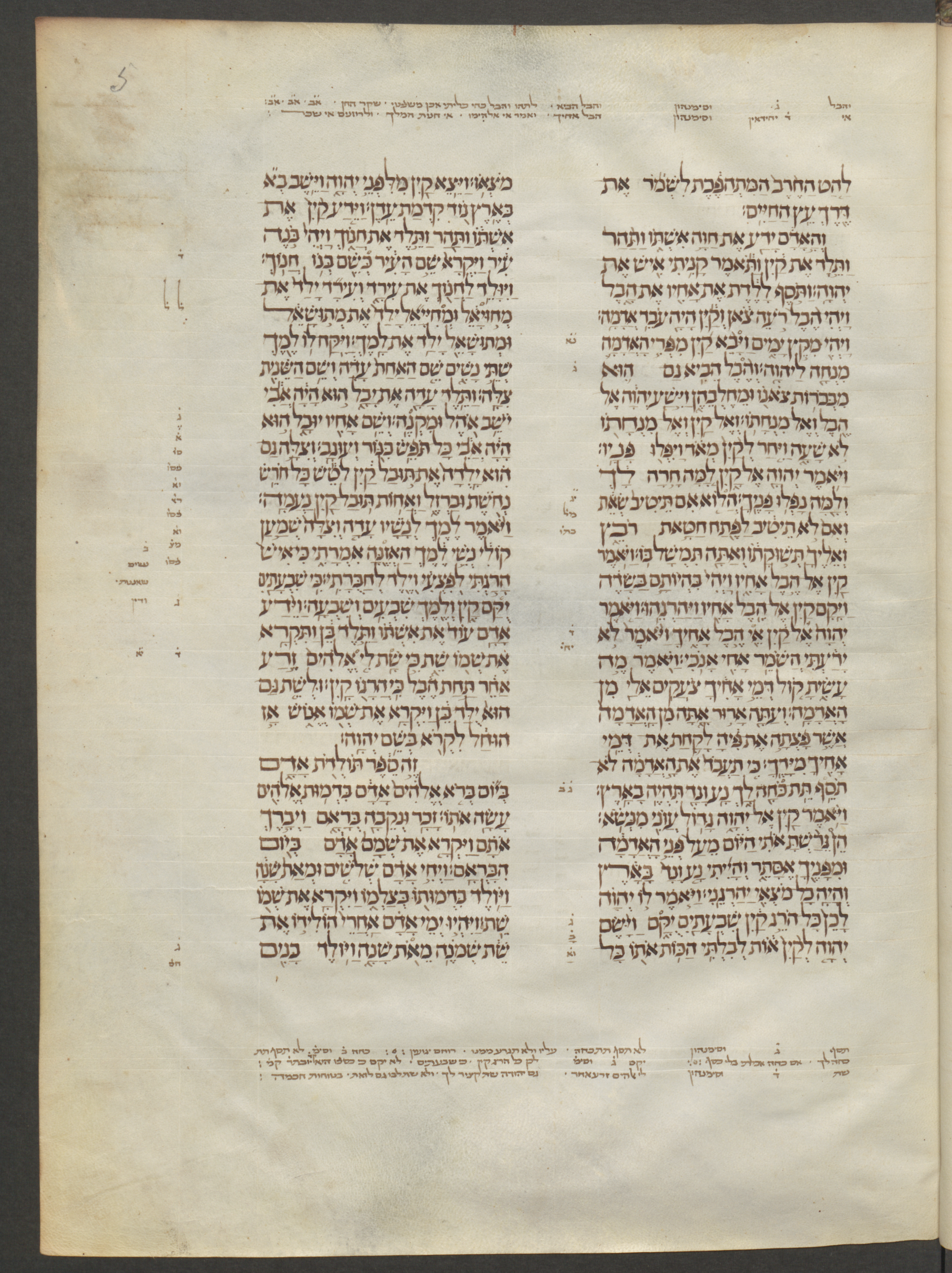 Image of item, e.g. a manuscript page