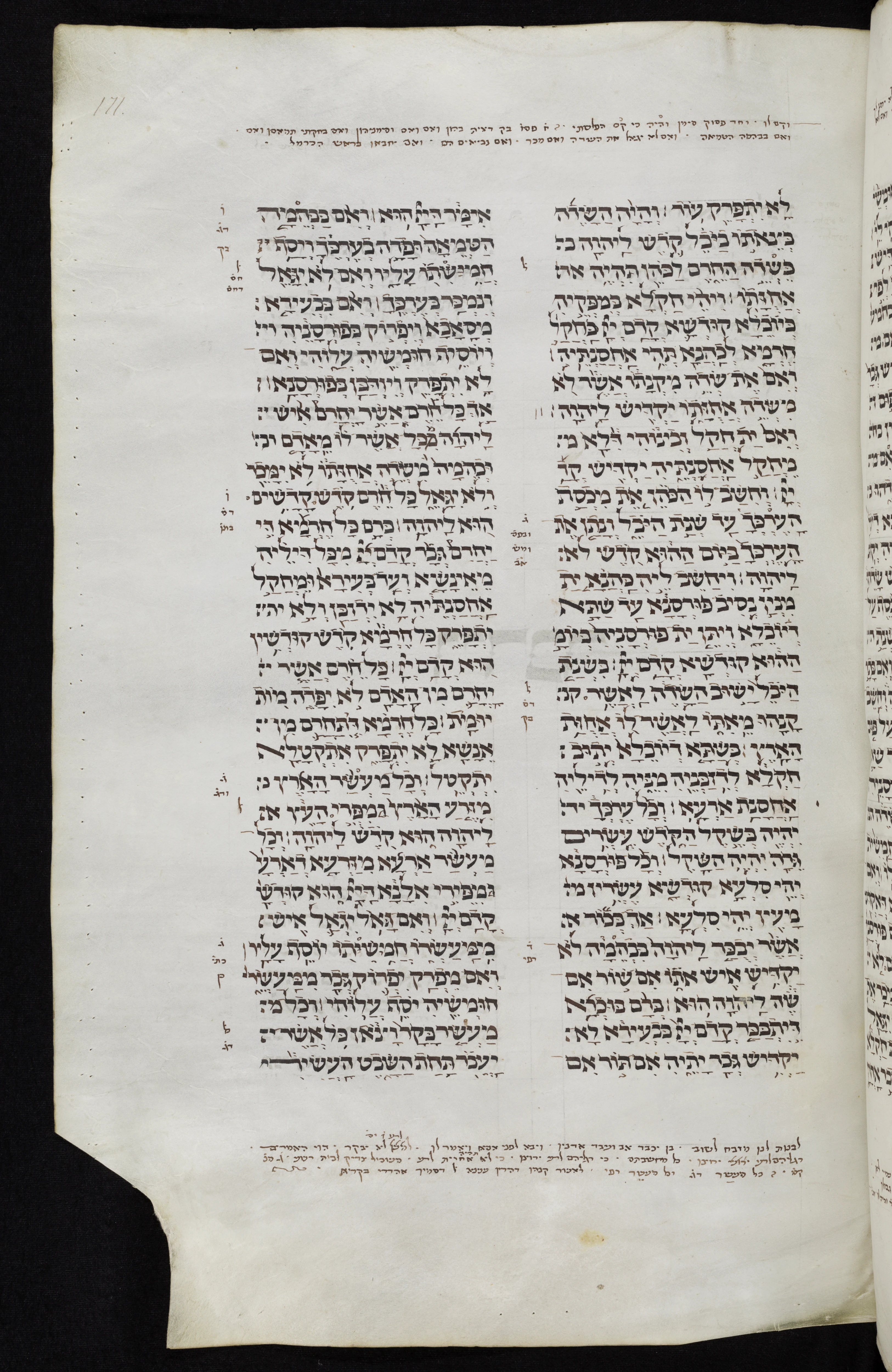 Image of item, e.g. a manuscript page