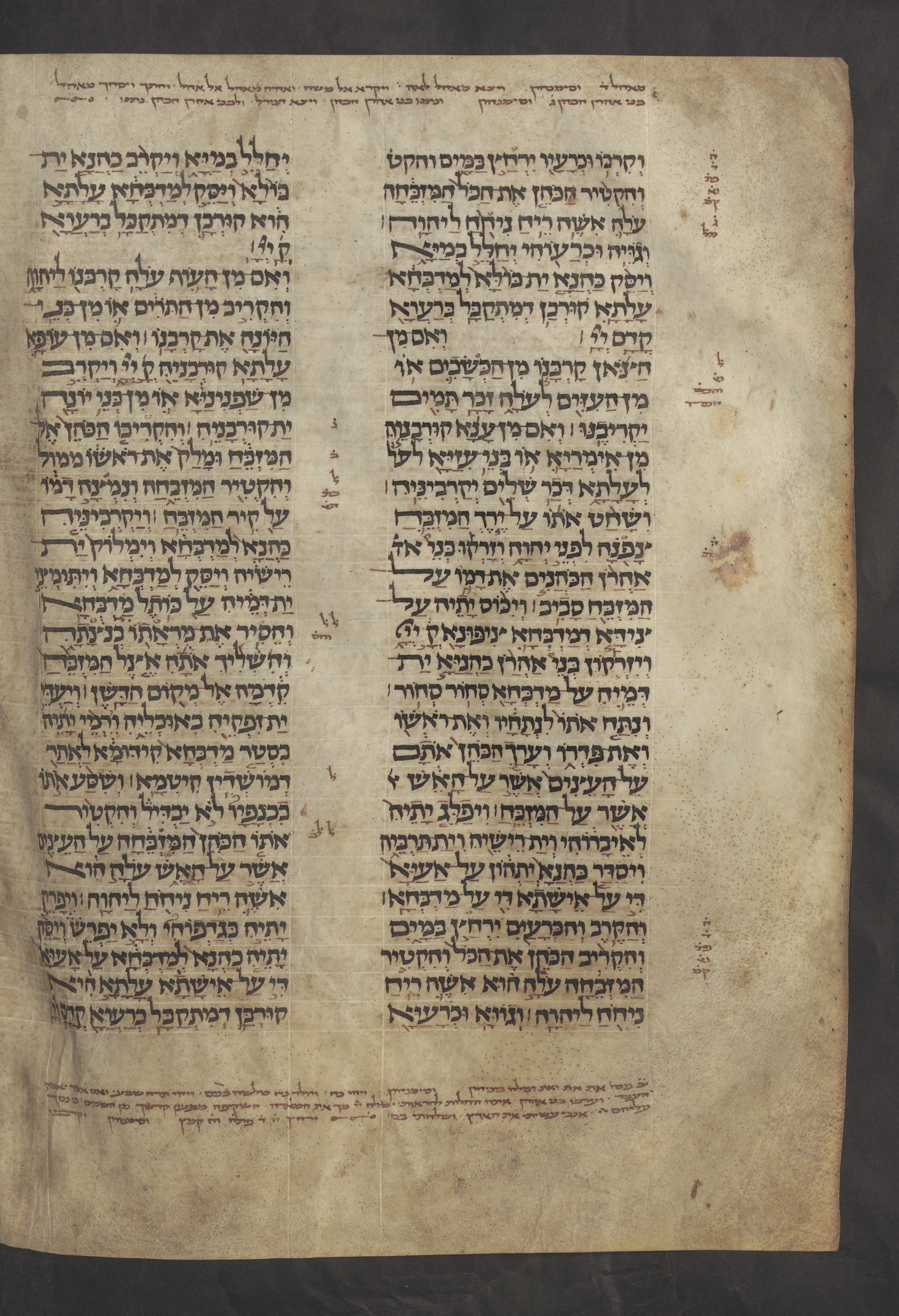 Image of item, e.g. a manuscript page