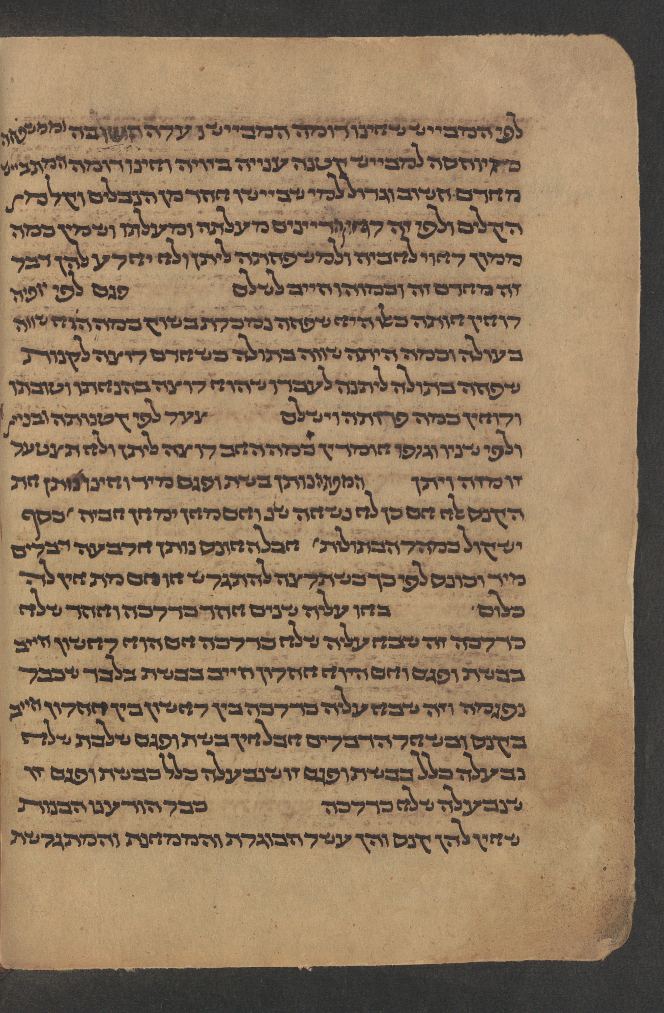 Image of item, e.g. a manuscript page
