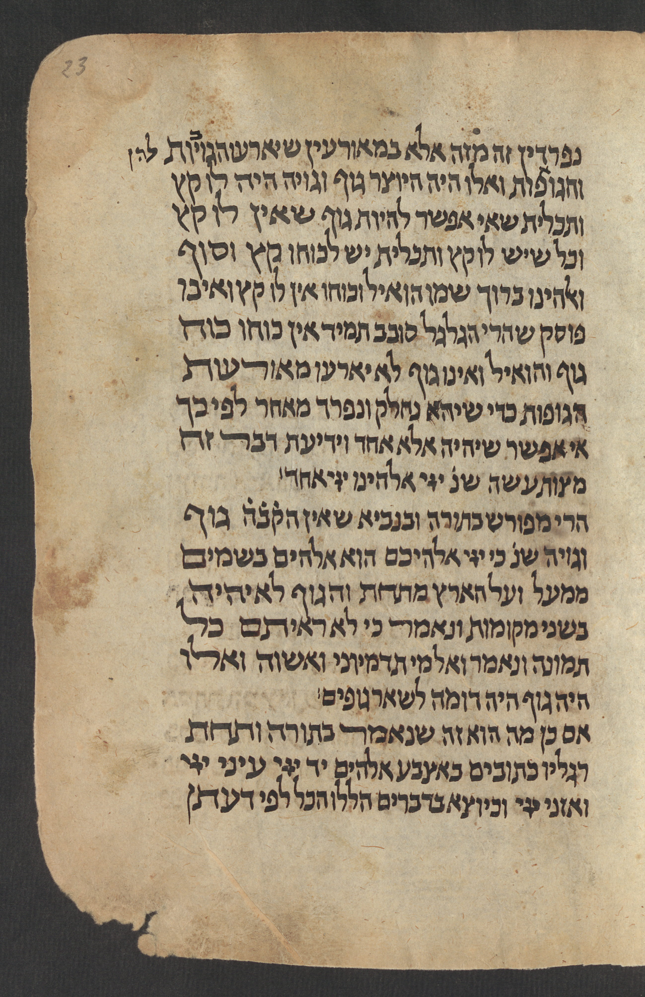 Image of item, e.g. a manuscript page