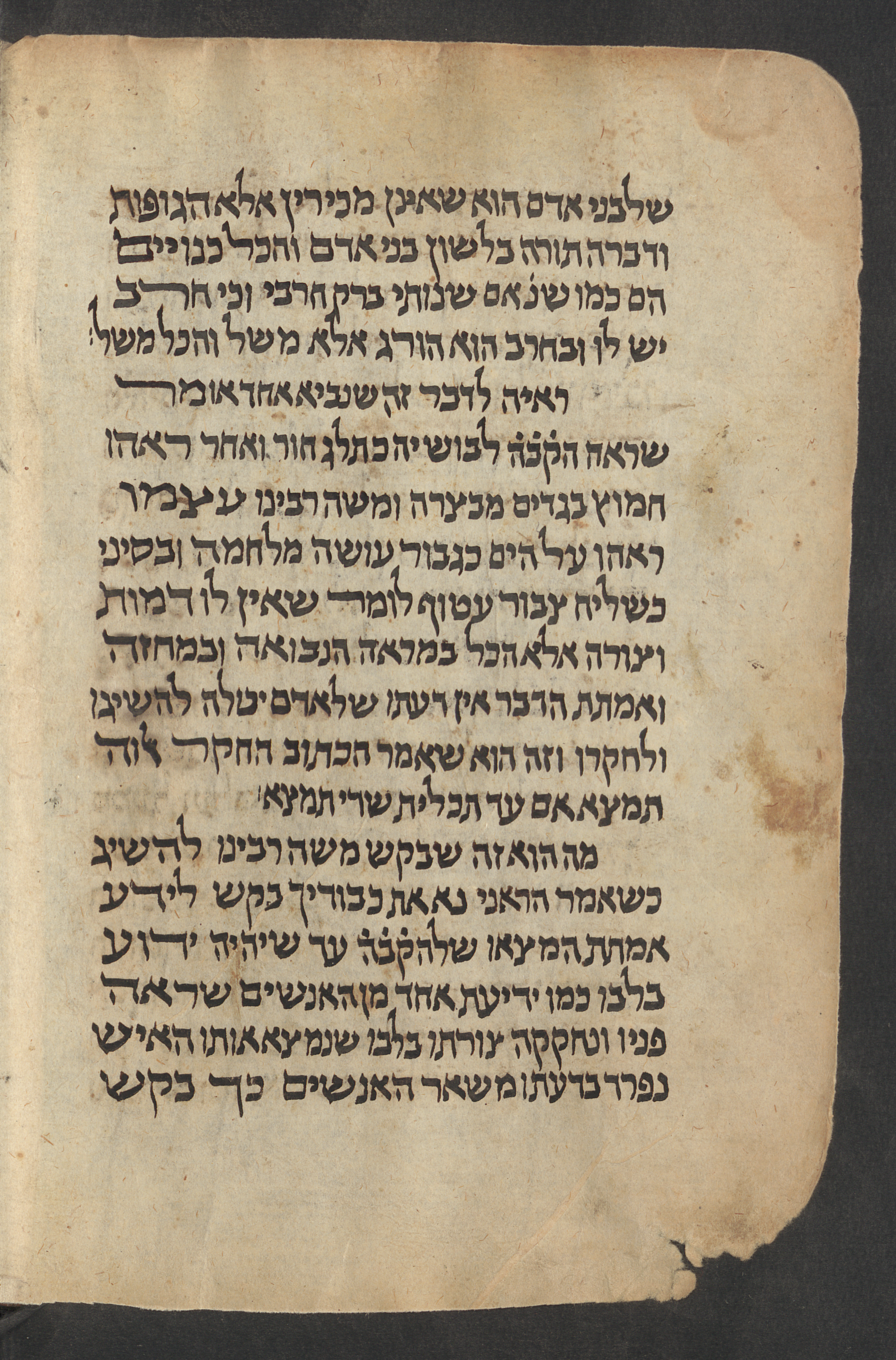 Image of item, e.g. a manuscript page