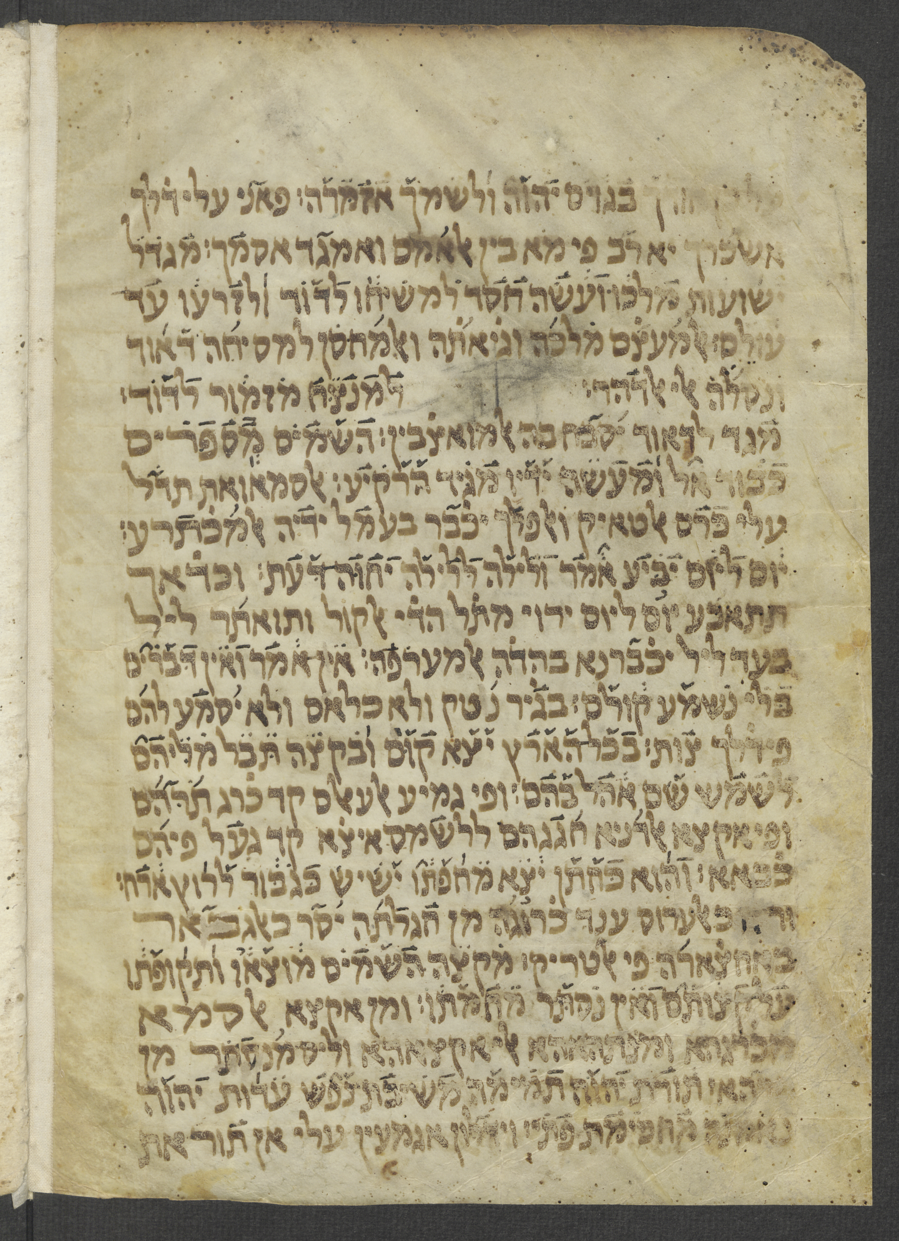 Image of item, e.g. a manuscript page