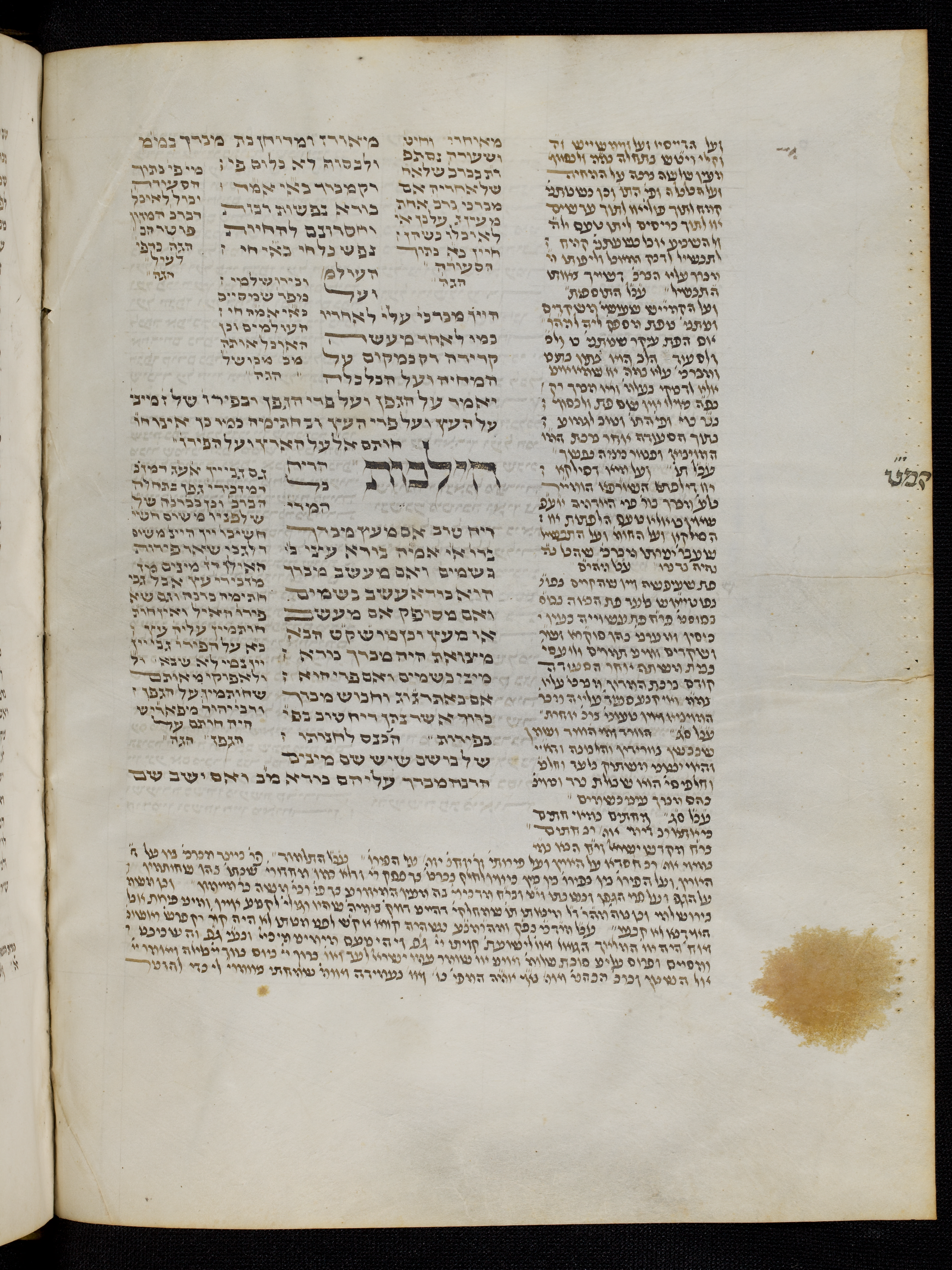 Image of item, e.g. a manuscript page