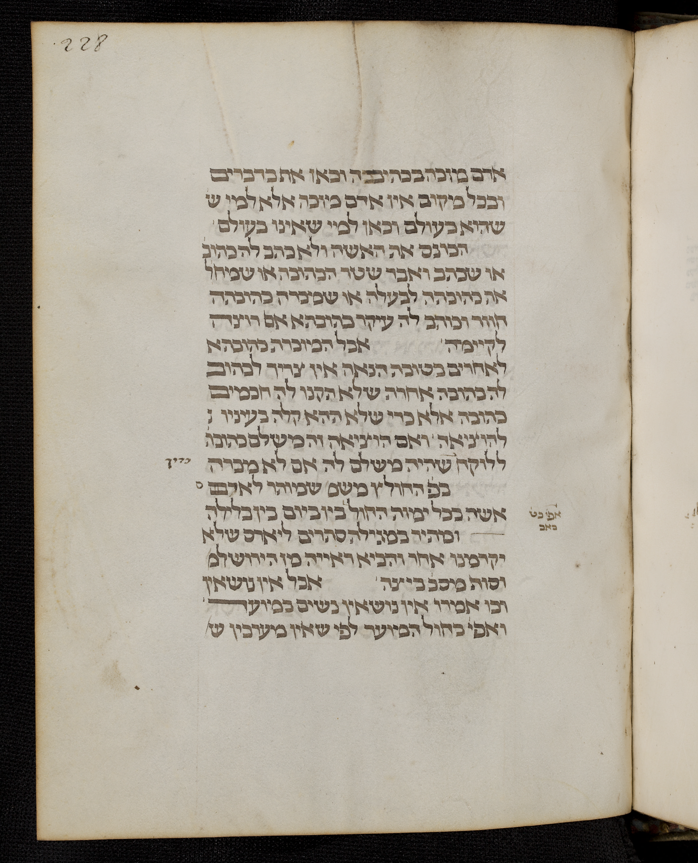 Image of item, e.g. a manuscript page