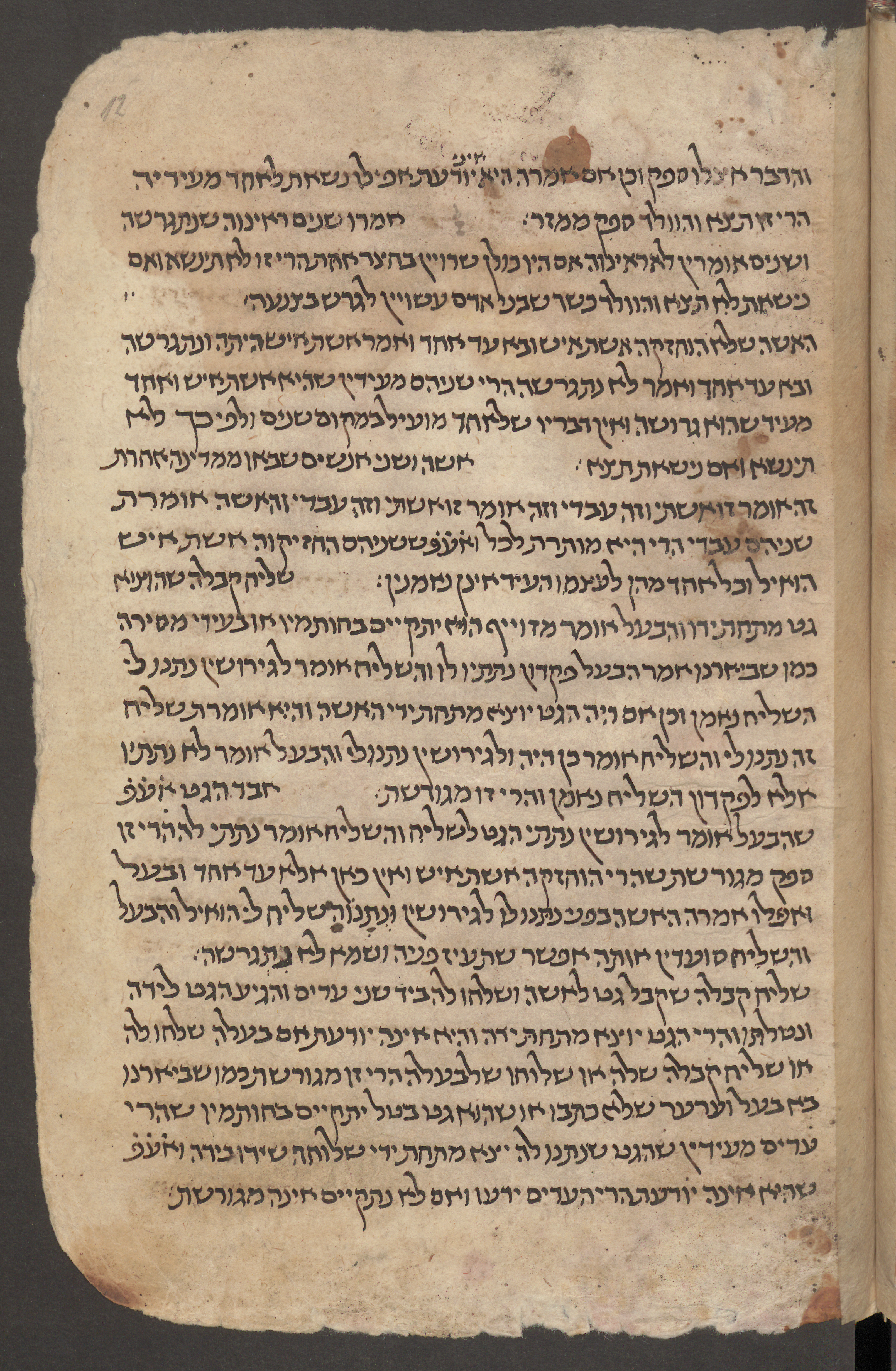 Image of item, e.g. a manuscript page