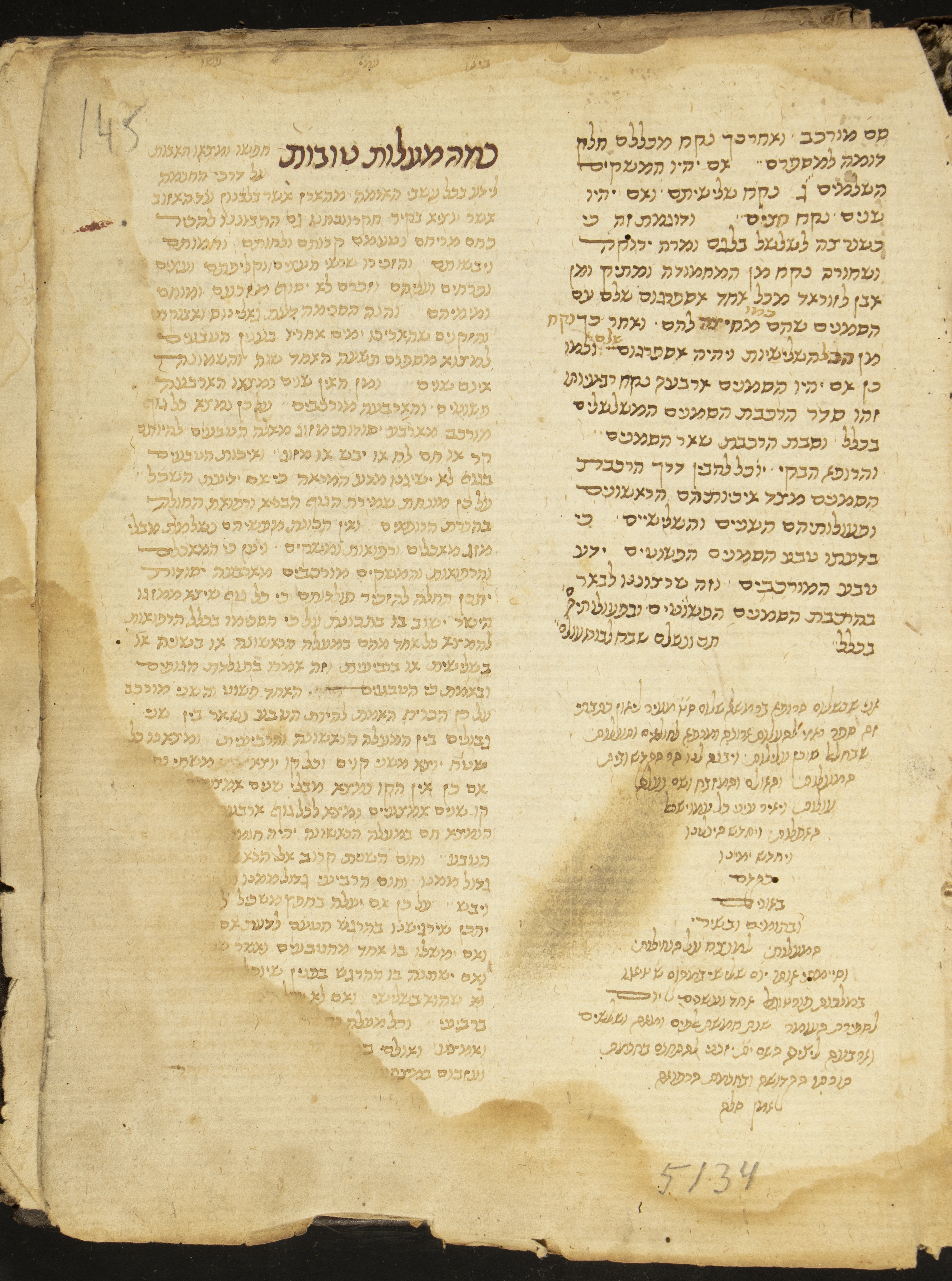 Image of item, e.g. a manuscript page