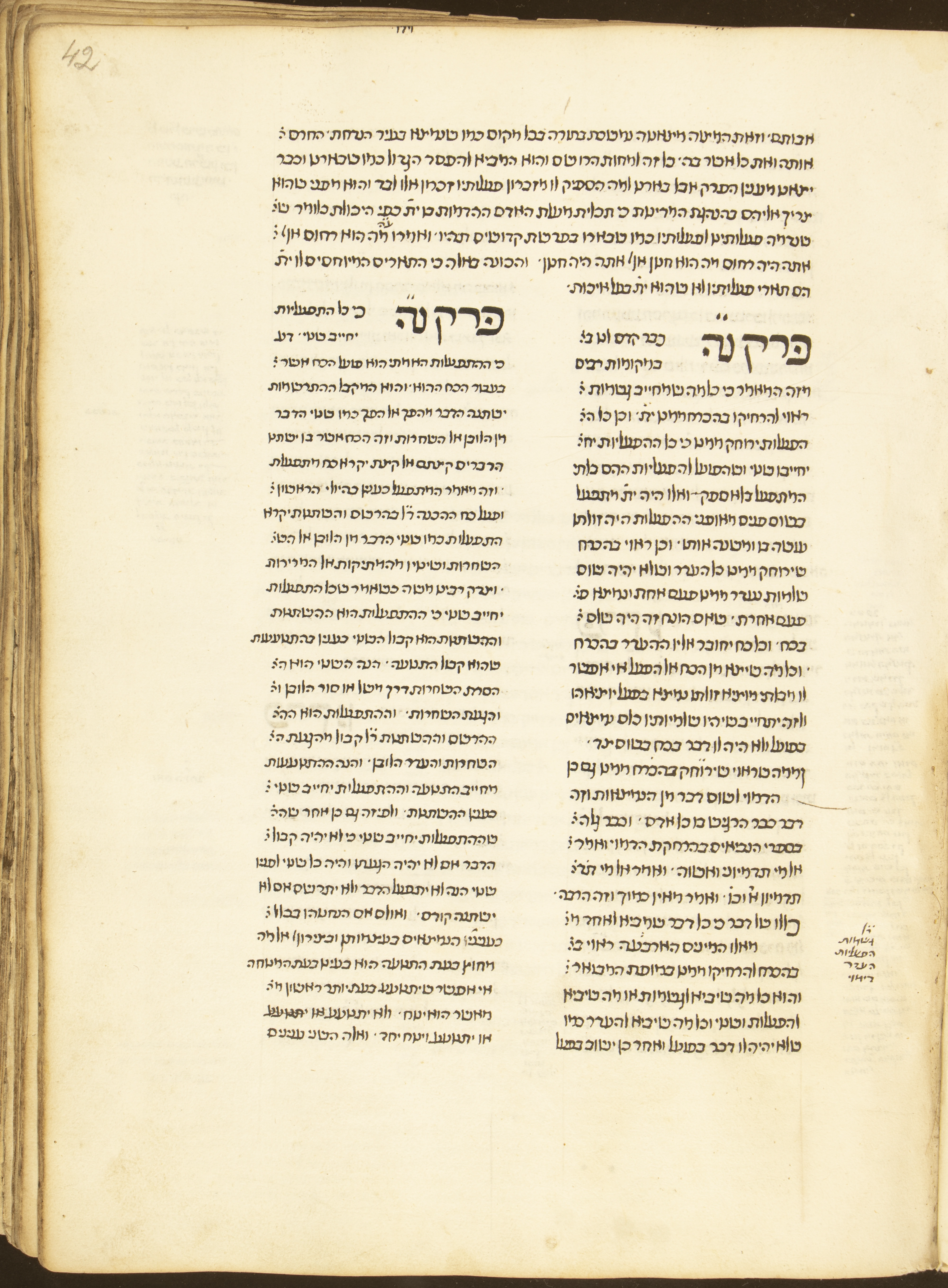 Image of item, e.g. a manuscript page