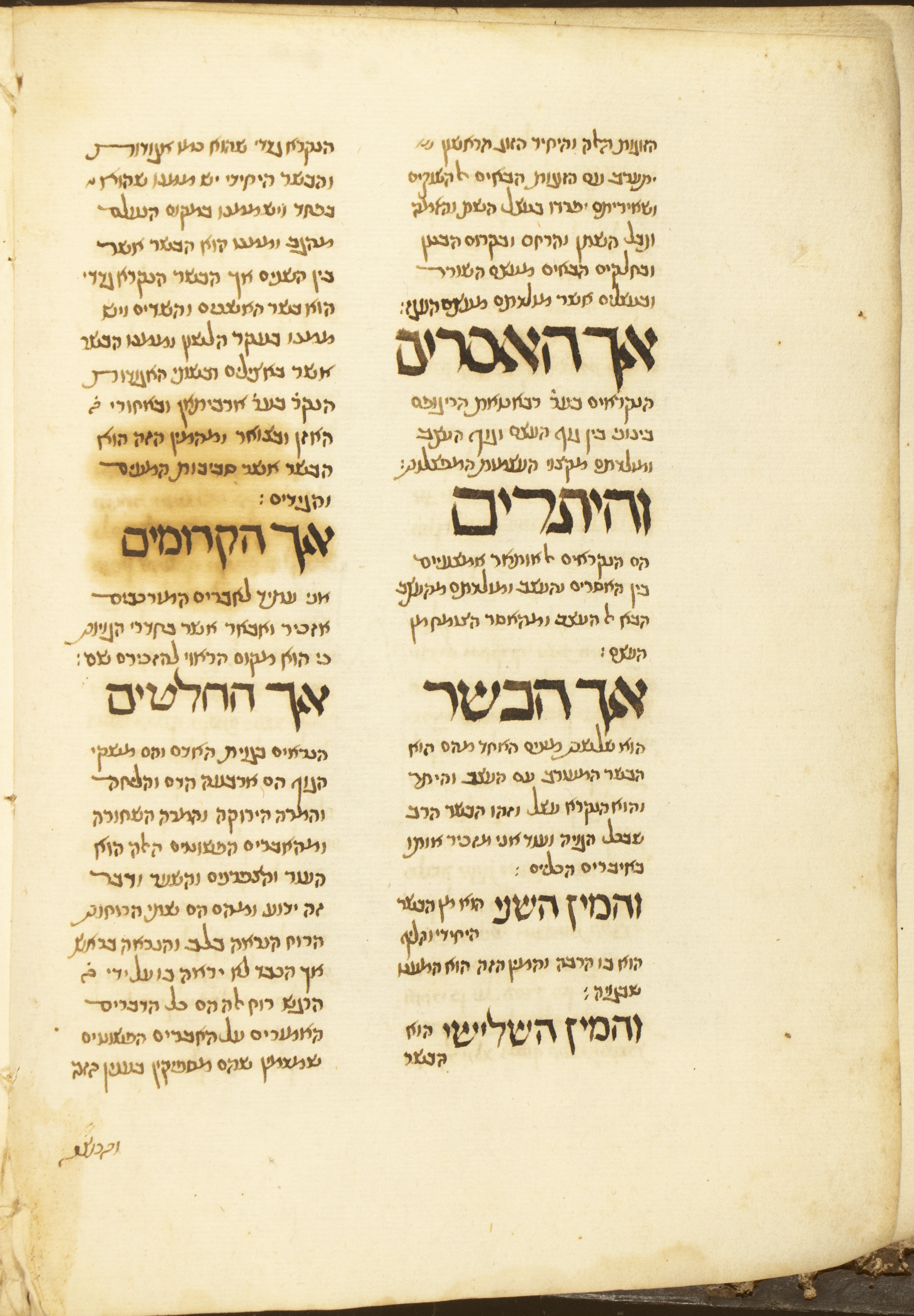 Image of item, e.g. a manuscript page