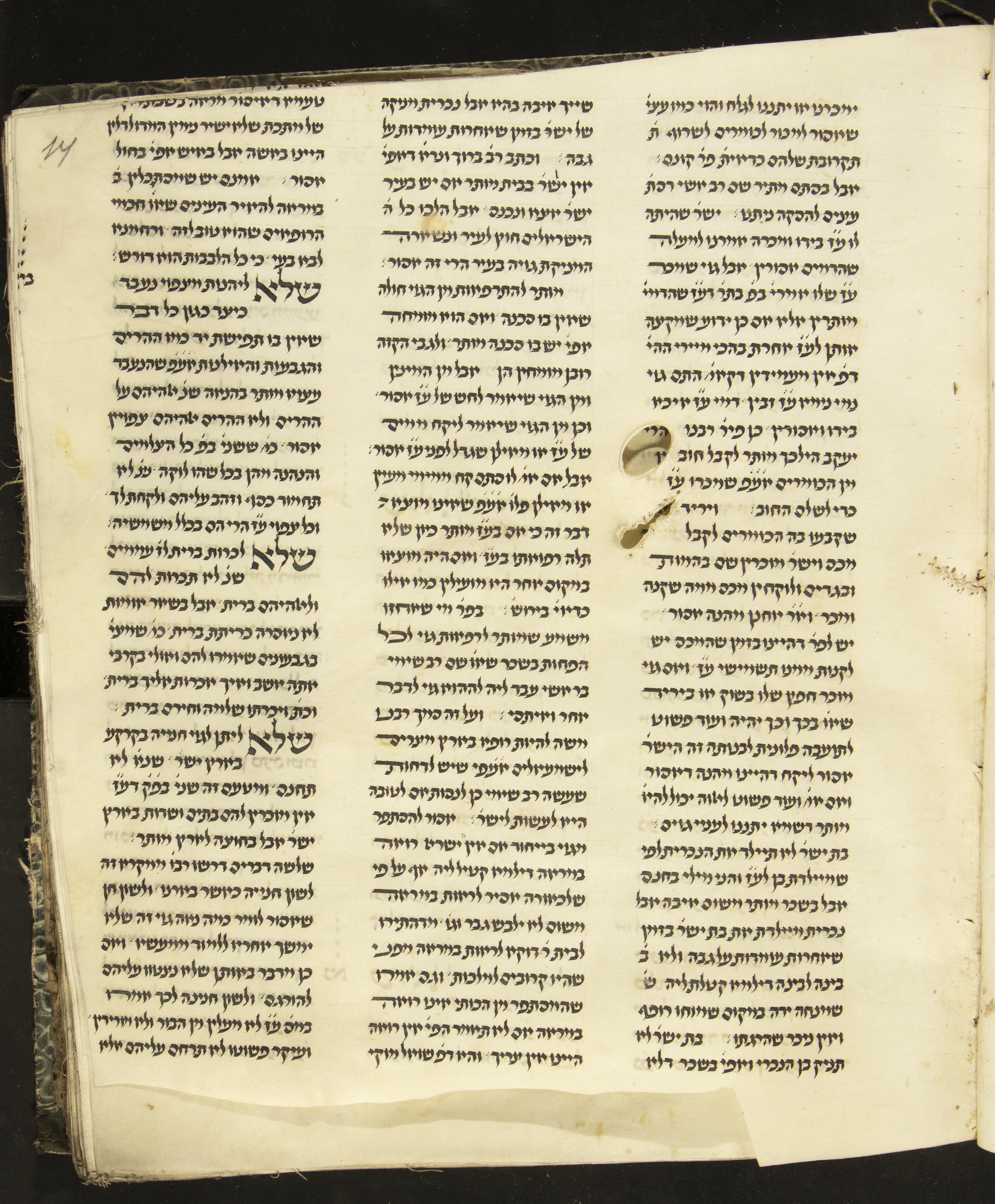 Image of item, e.g. a manuscript page