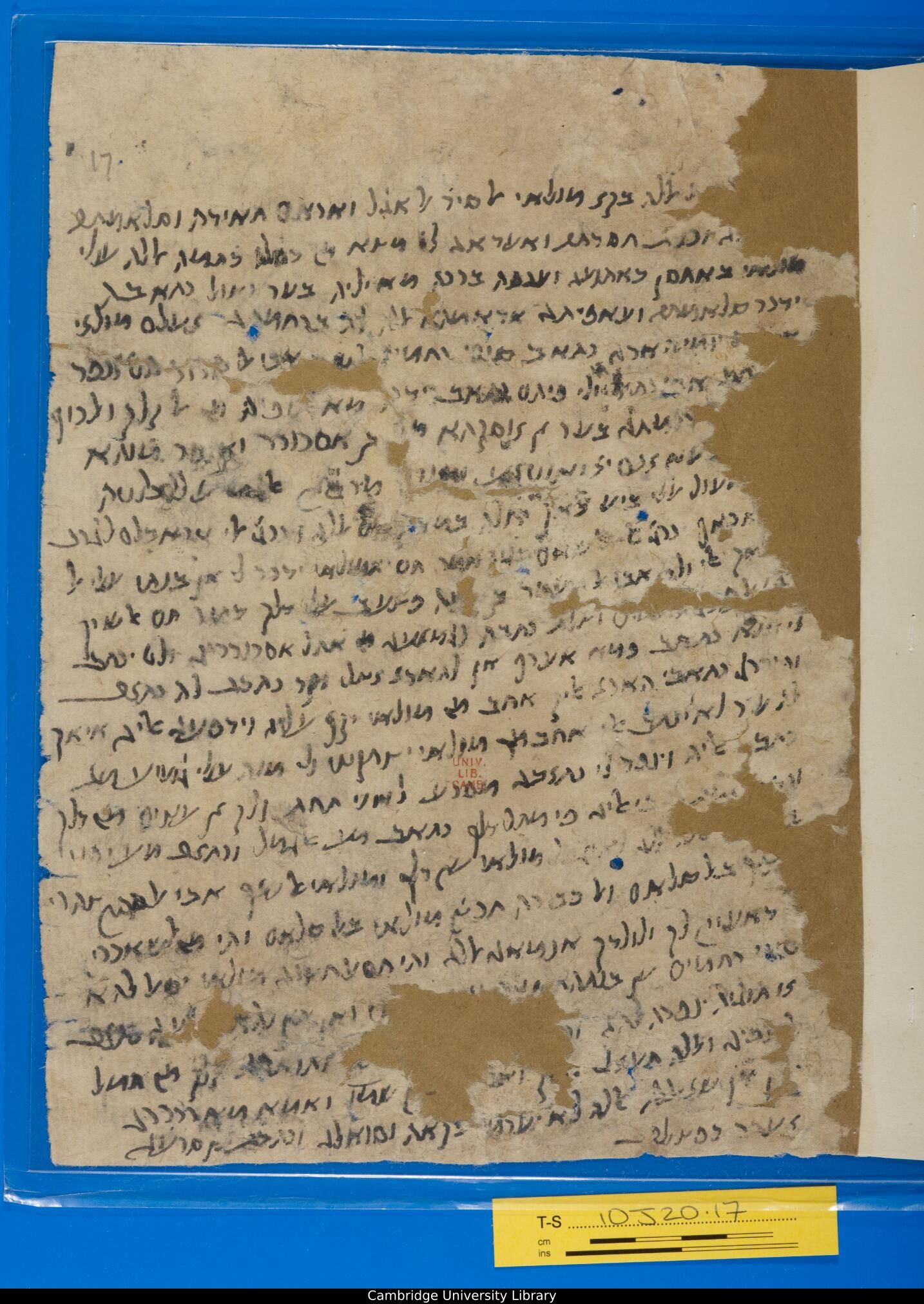 Image of item, e.g. a manuscript page