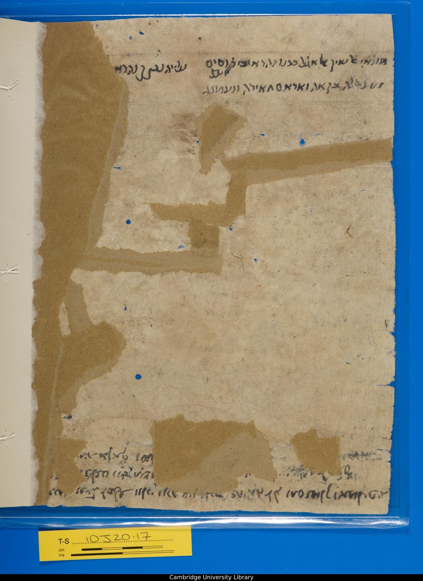 Image of item, e.g. a manuscript page