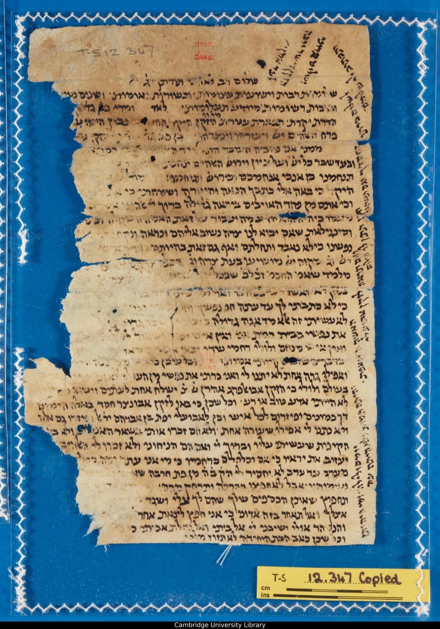 Image of item, e.g. a manuscript page