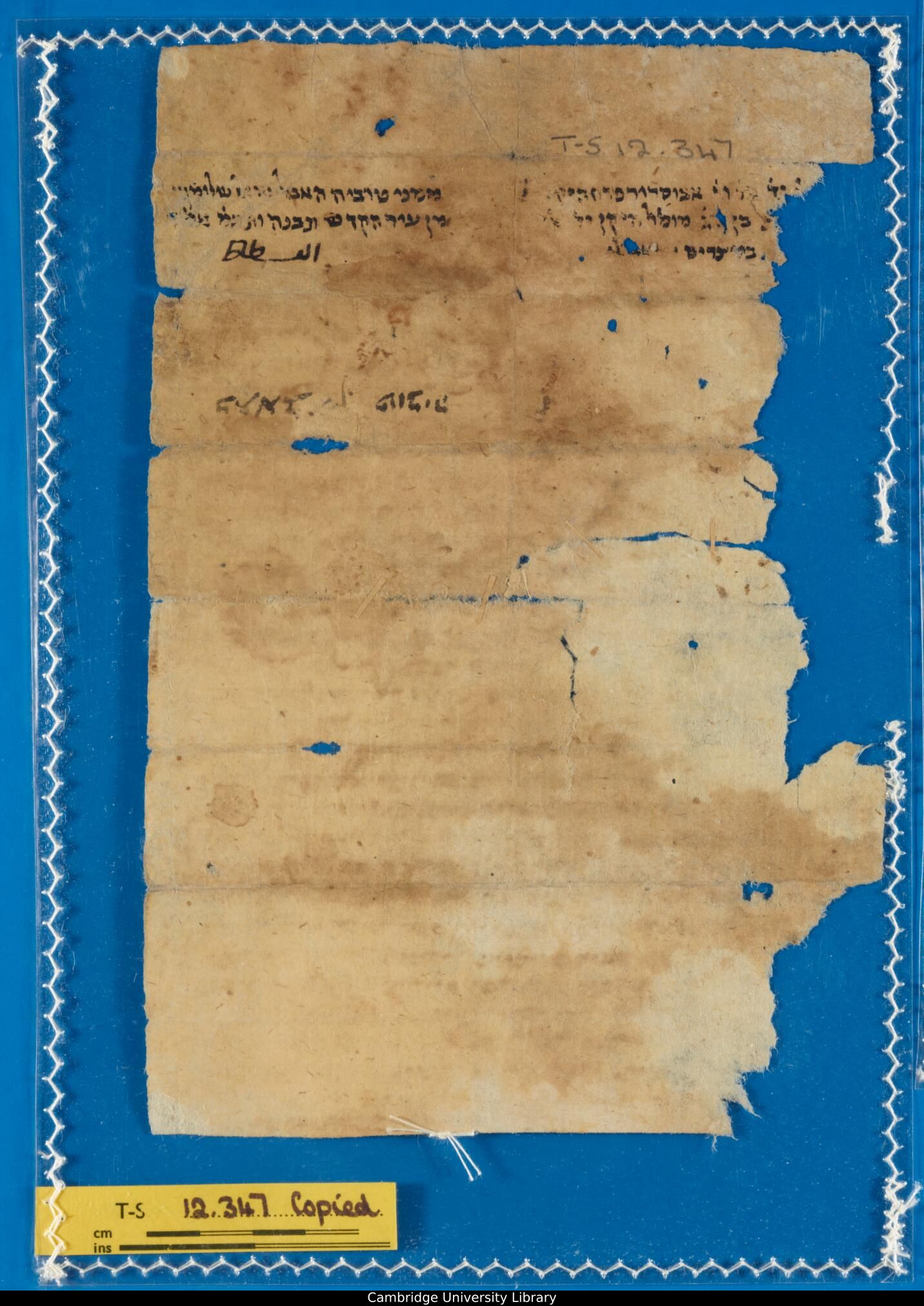 Image of item, e.g. a manuscript page