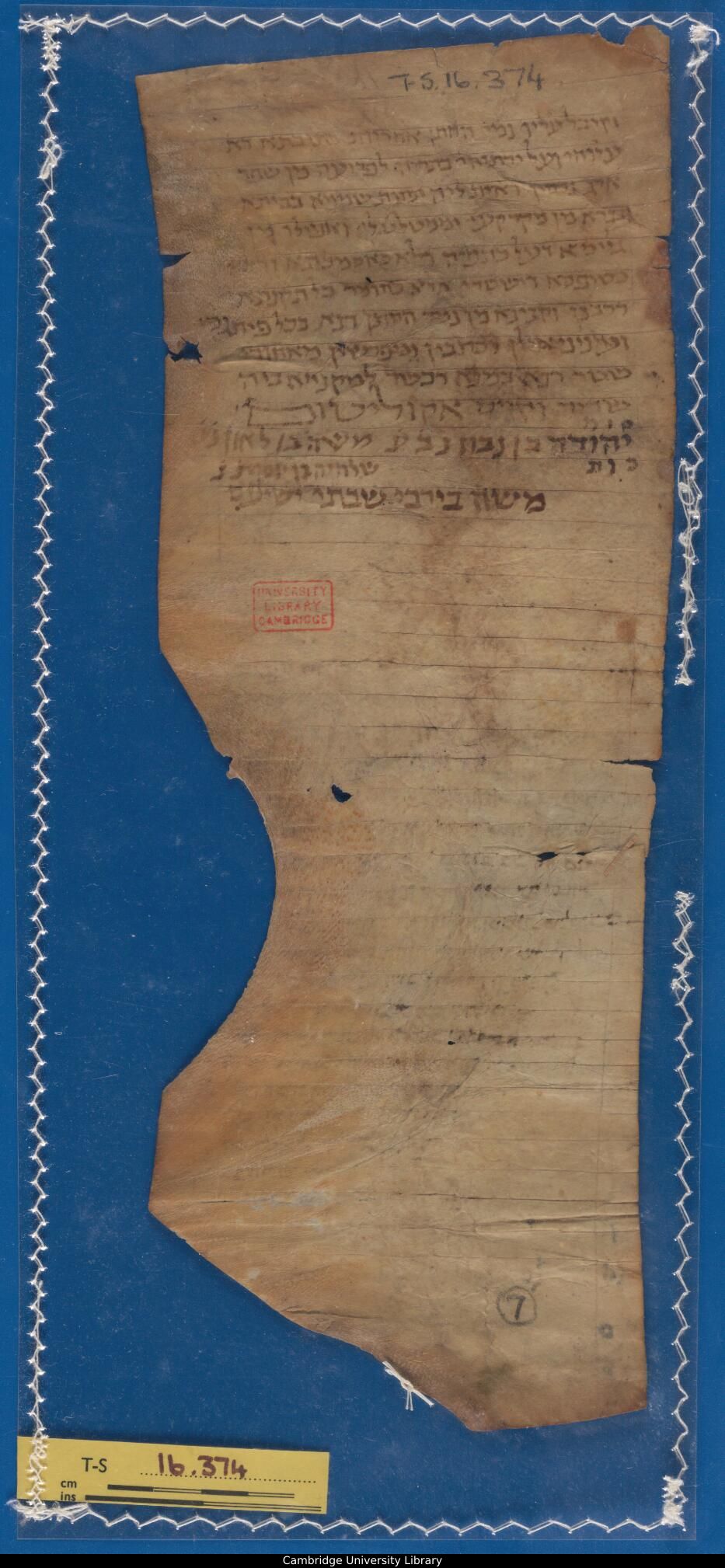 Image of item, e.g. a manuscript page