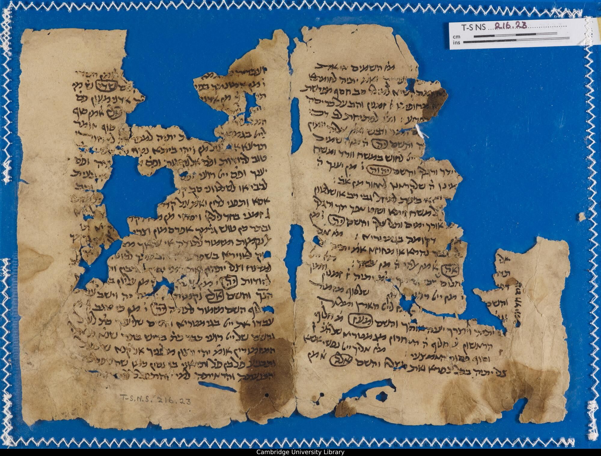 Image of item, e.g. a manuscript page