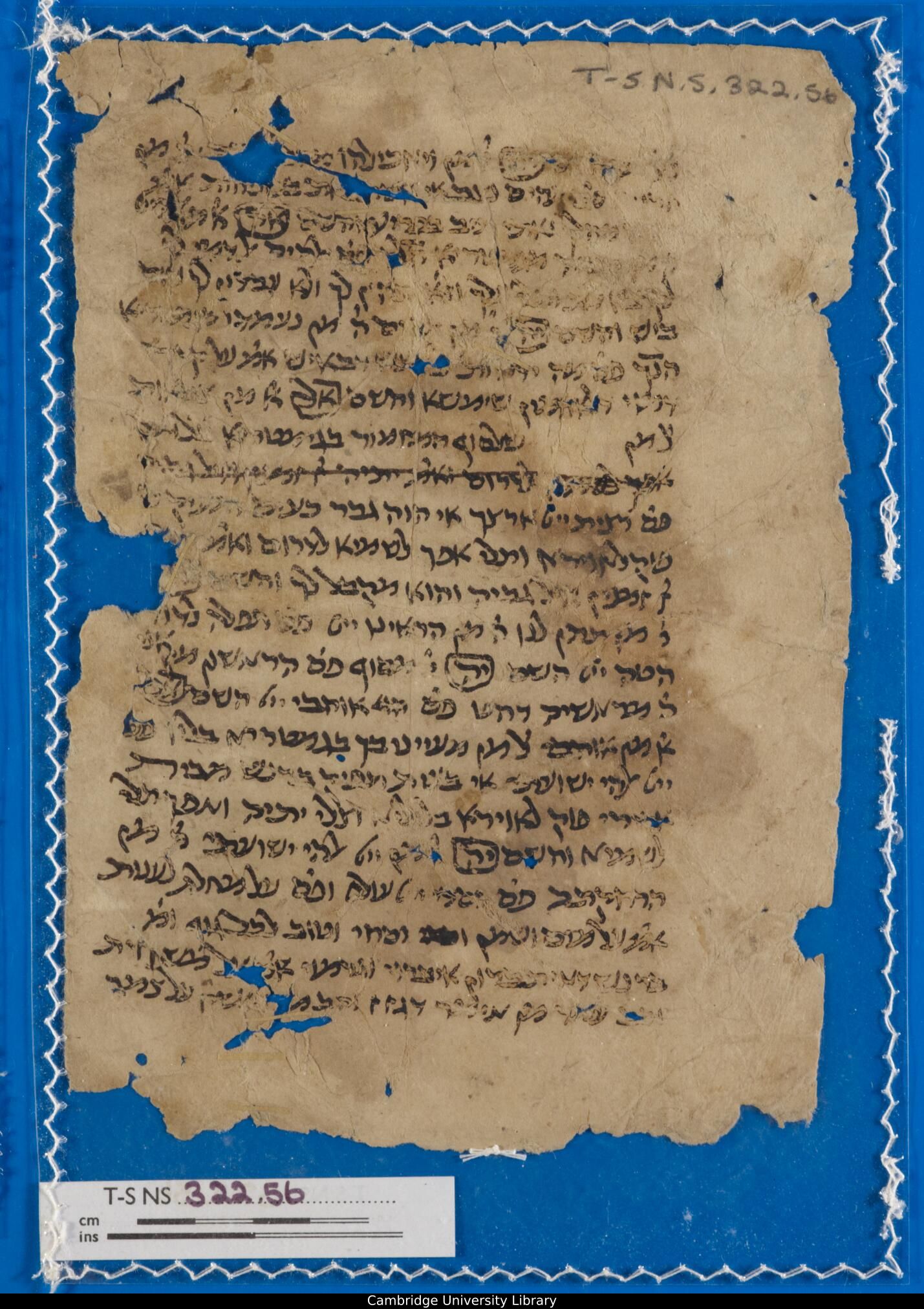 Image of item, e.g. a manuscript page