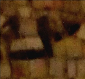 Image of item, e.g. a manuscript page