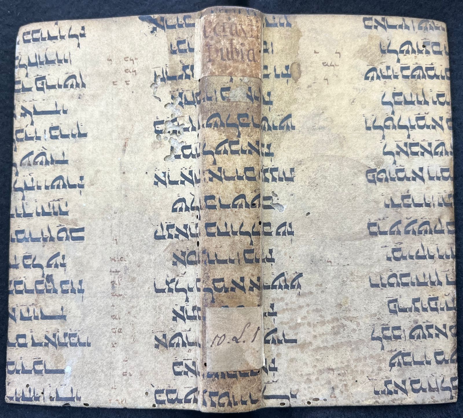 Image of item, e.g. a manuscript page