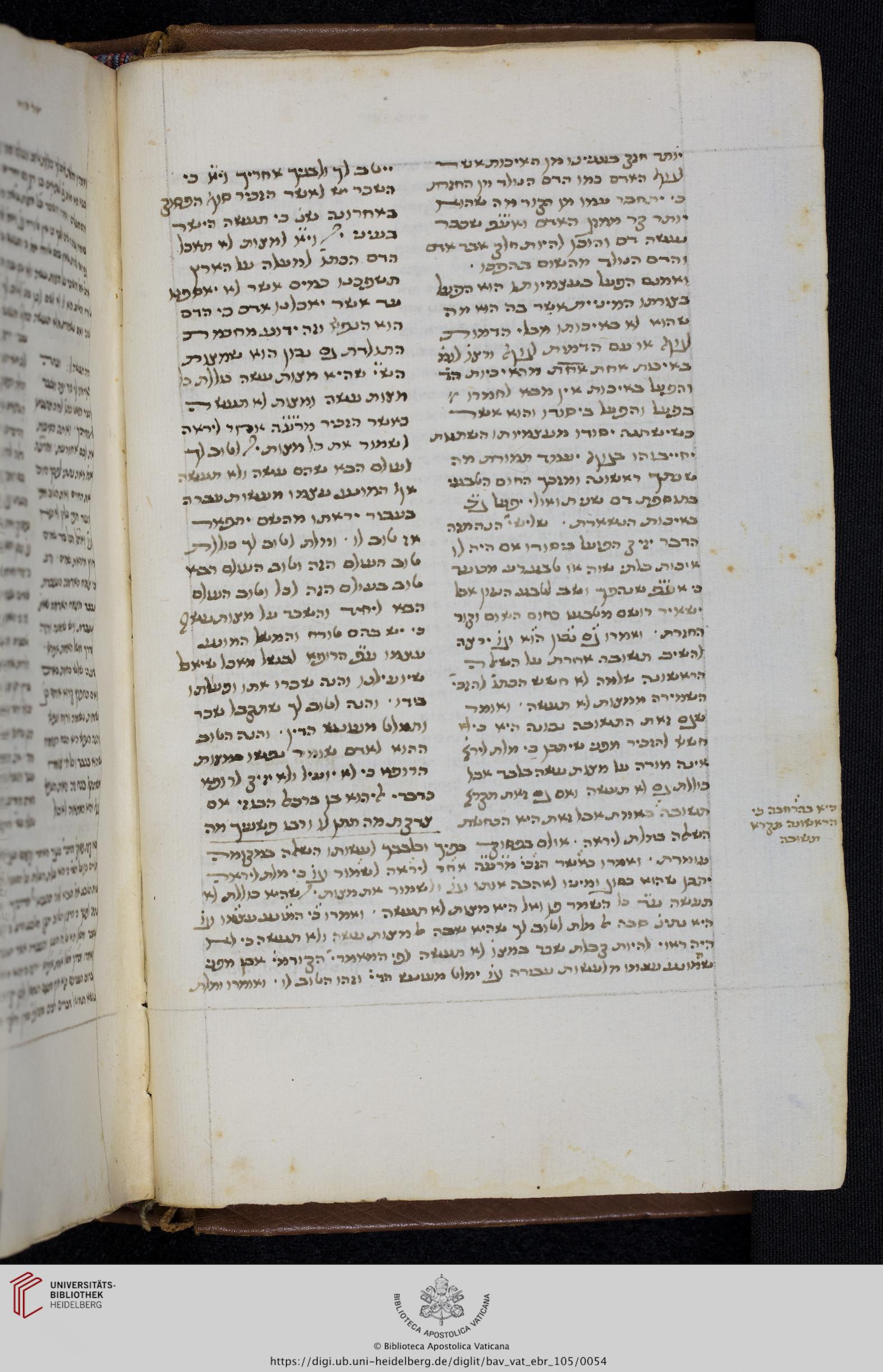 Image of item, e.g. a manuscript page