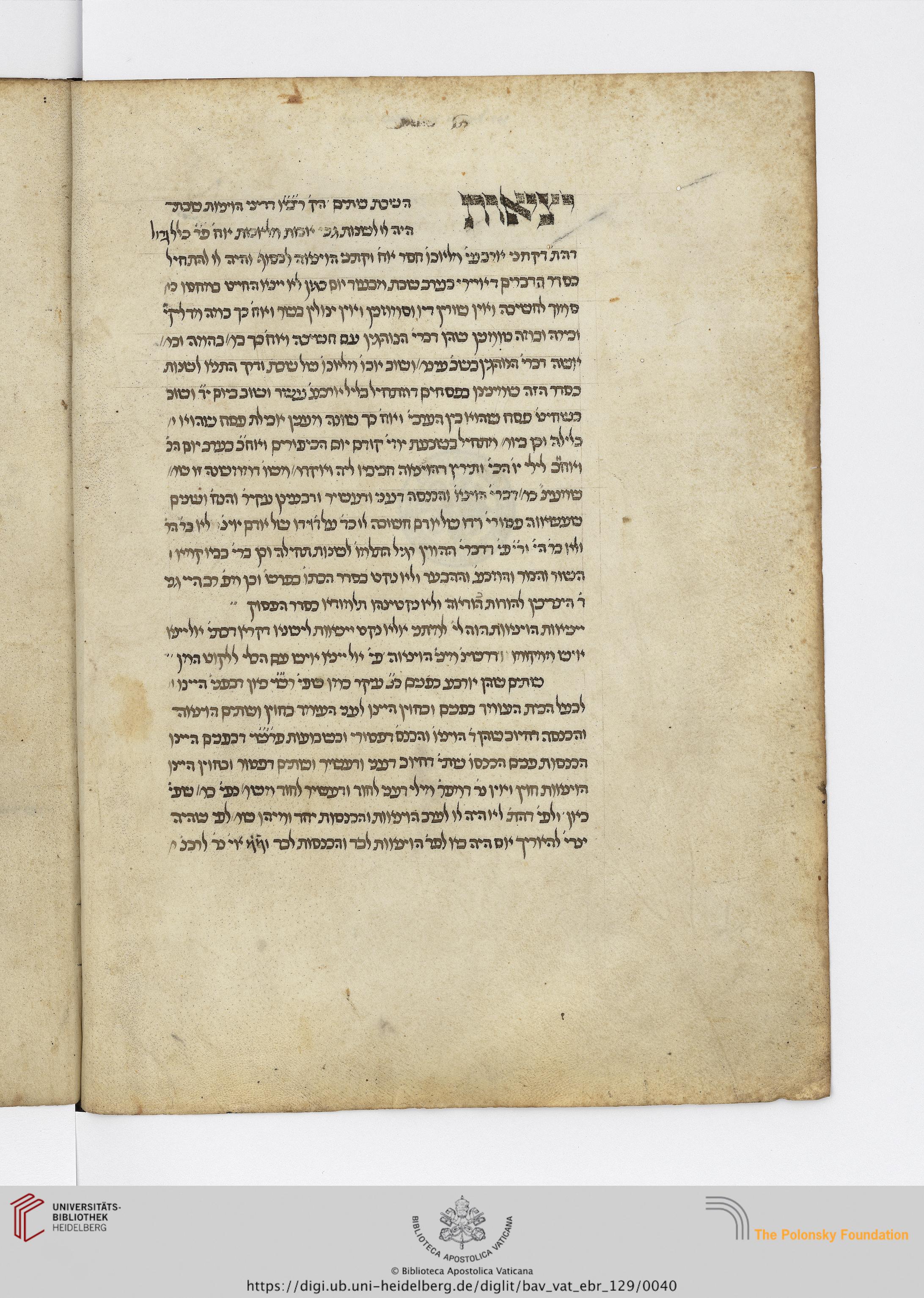 Image of item, e.g. a manuscript page