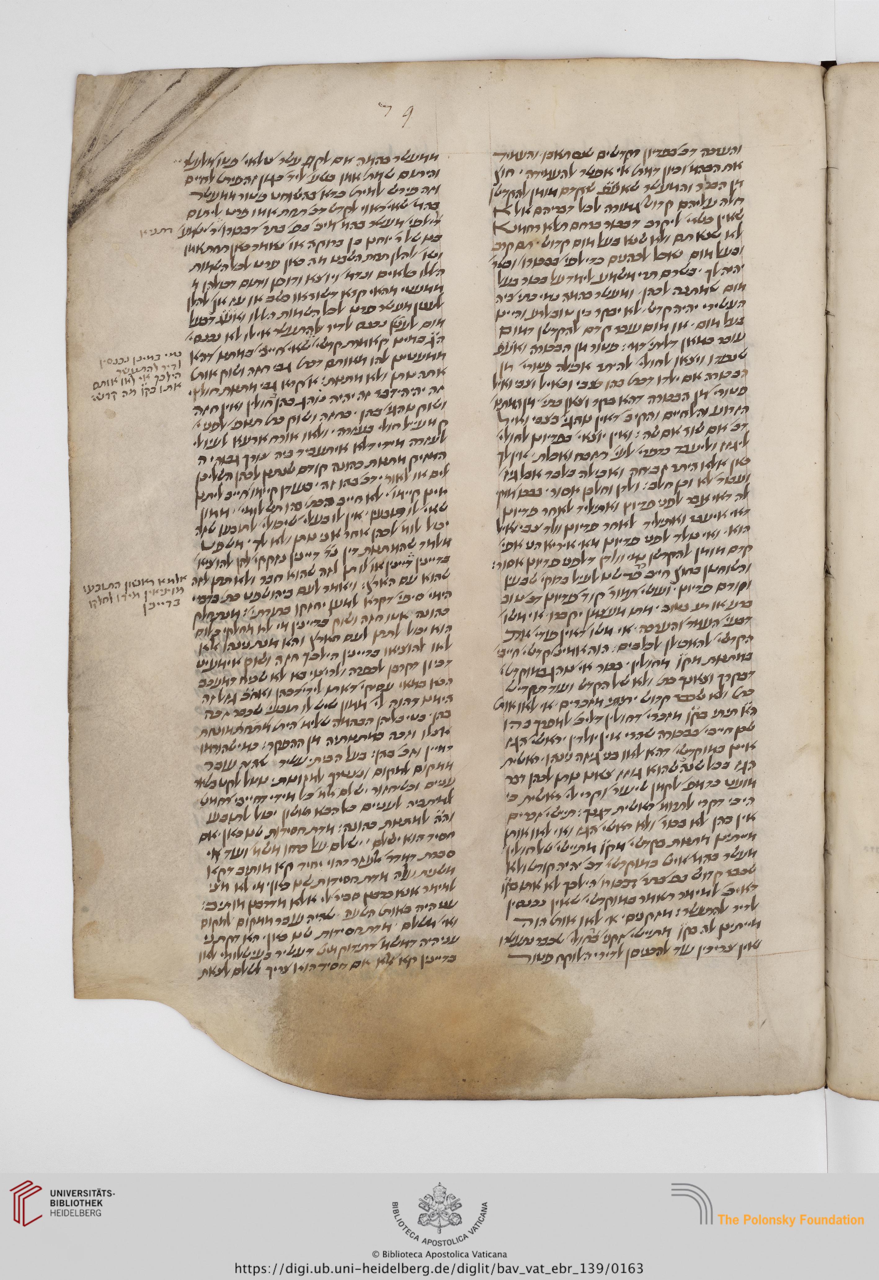 Image of item, e.g. a manuscript page