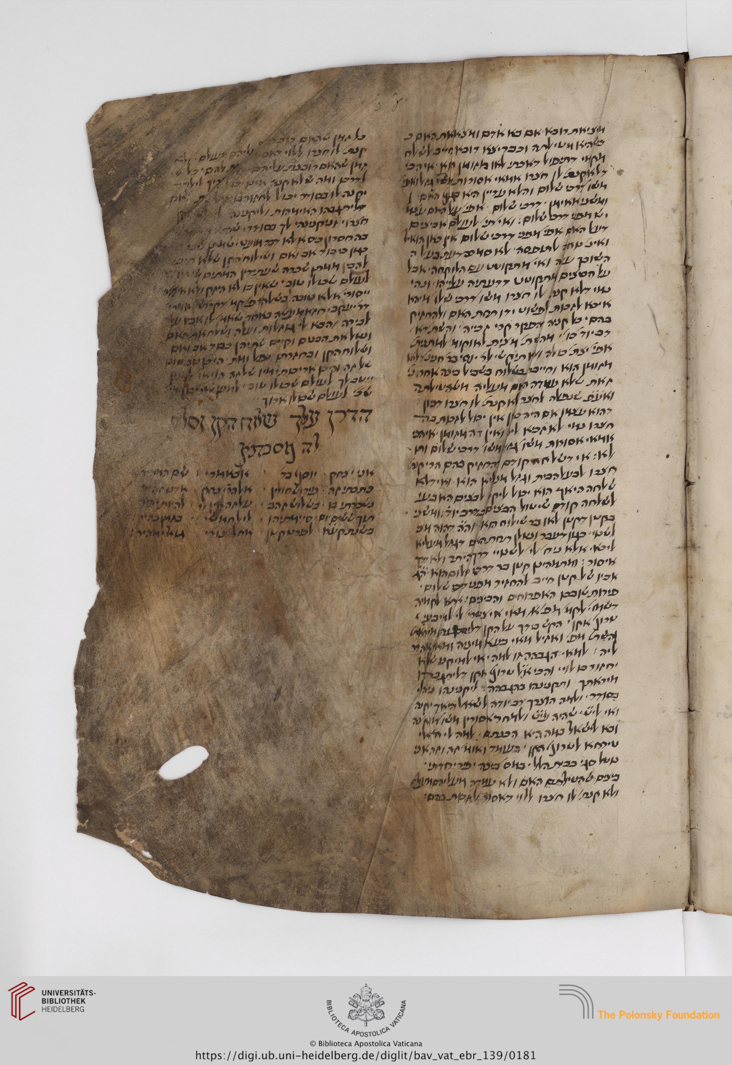 Image of item, e.g. a manuscript page